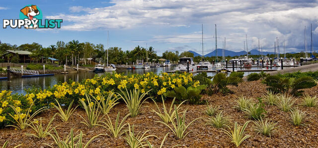 Lot 90 6 Apollo QY TRINITY PARK QLD 4879