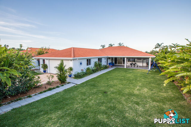 41 Hibiscus Court KEWARRA BEACH QLD 4879