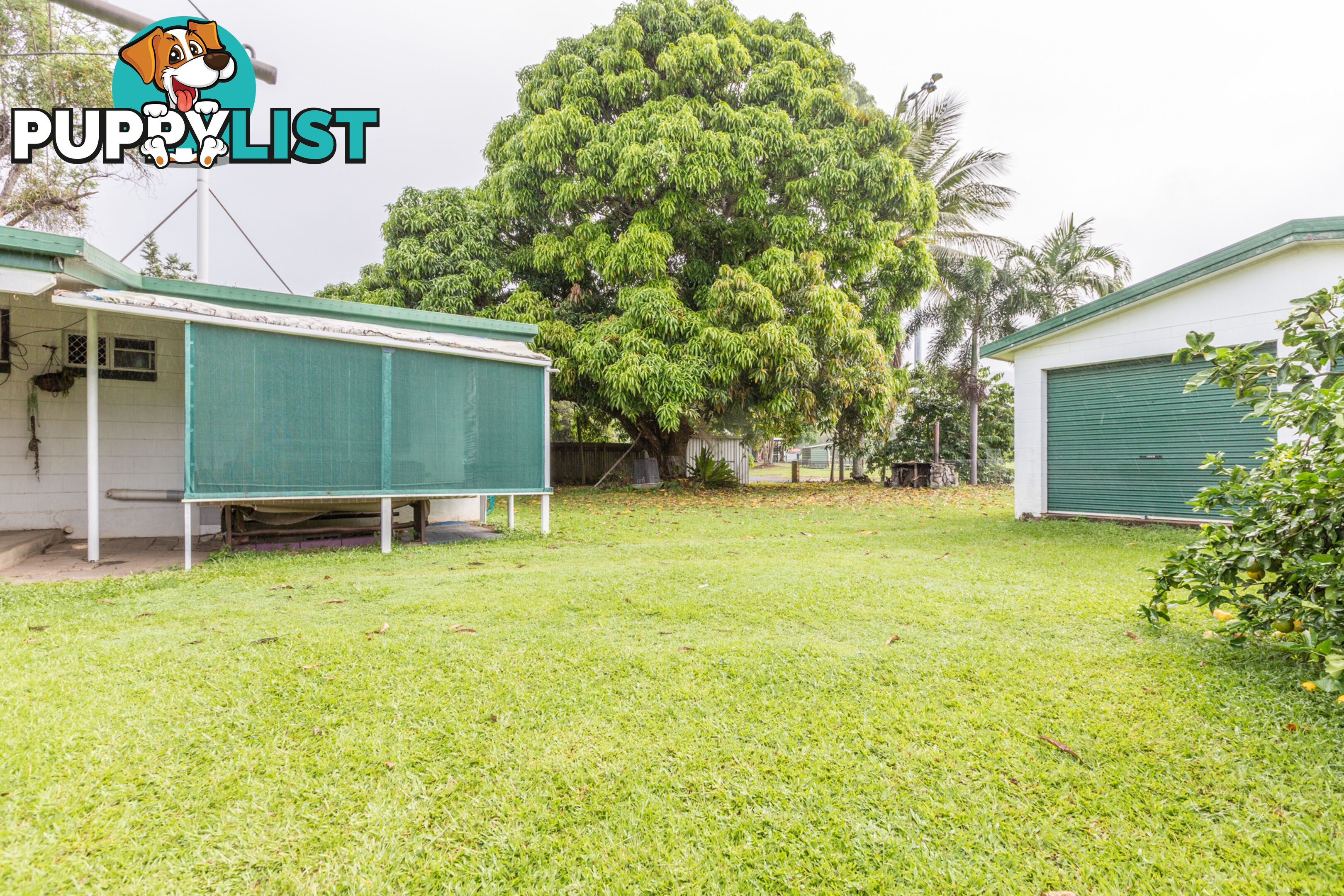 166 Trinity Beach Road TRINITY BEACH QLD 4879