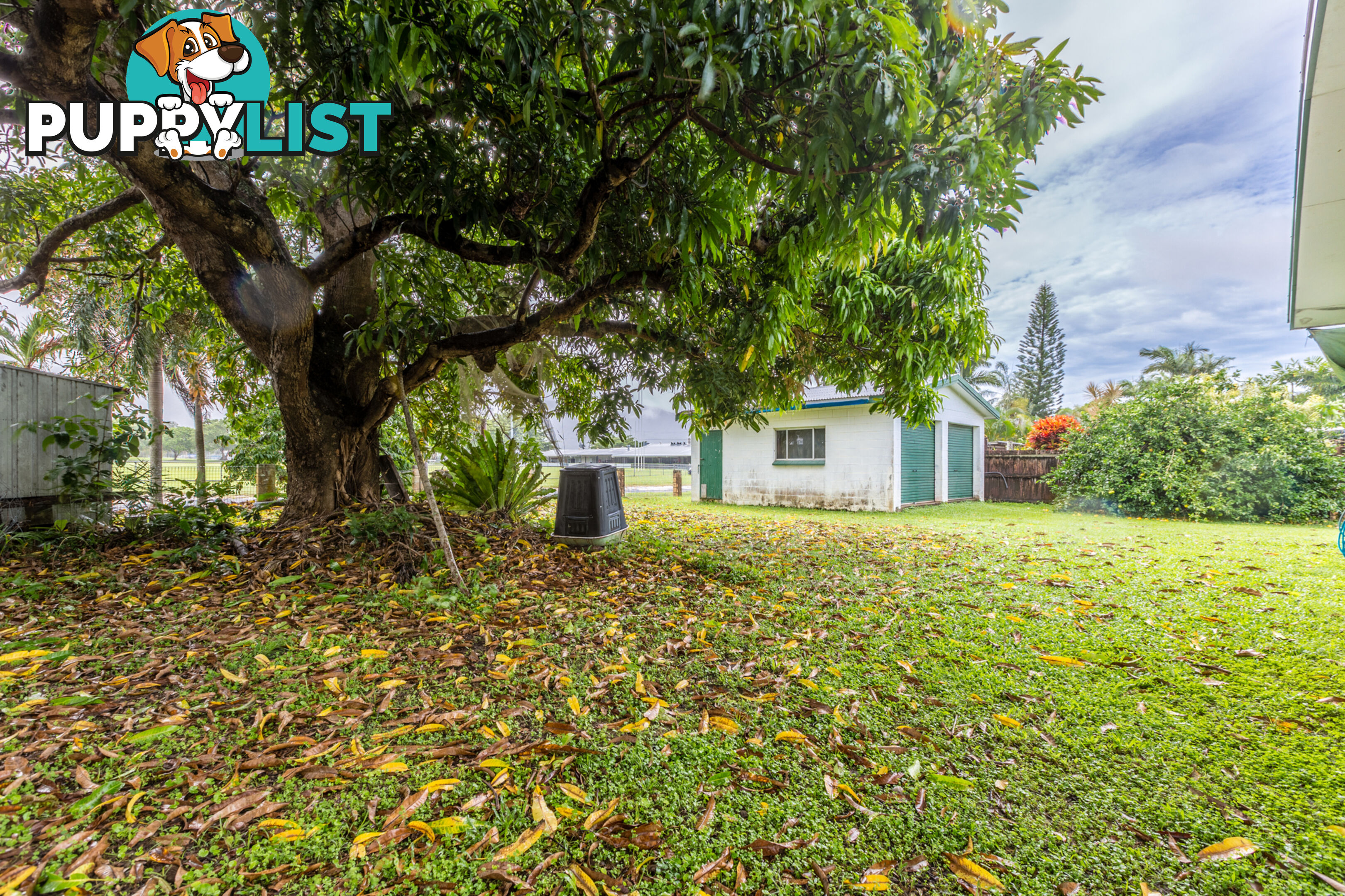 166 Trinity Beach Road TRINITY BEACH QLD 4879