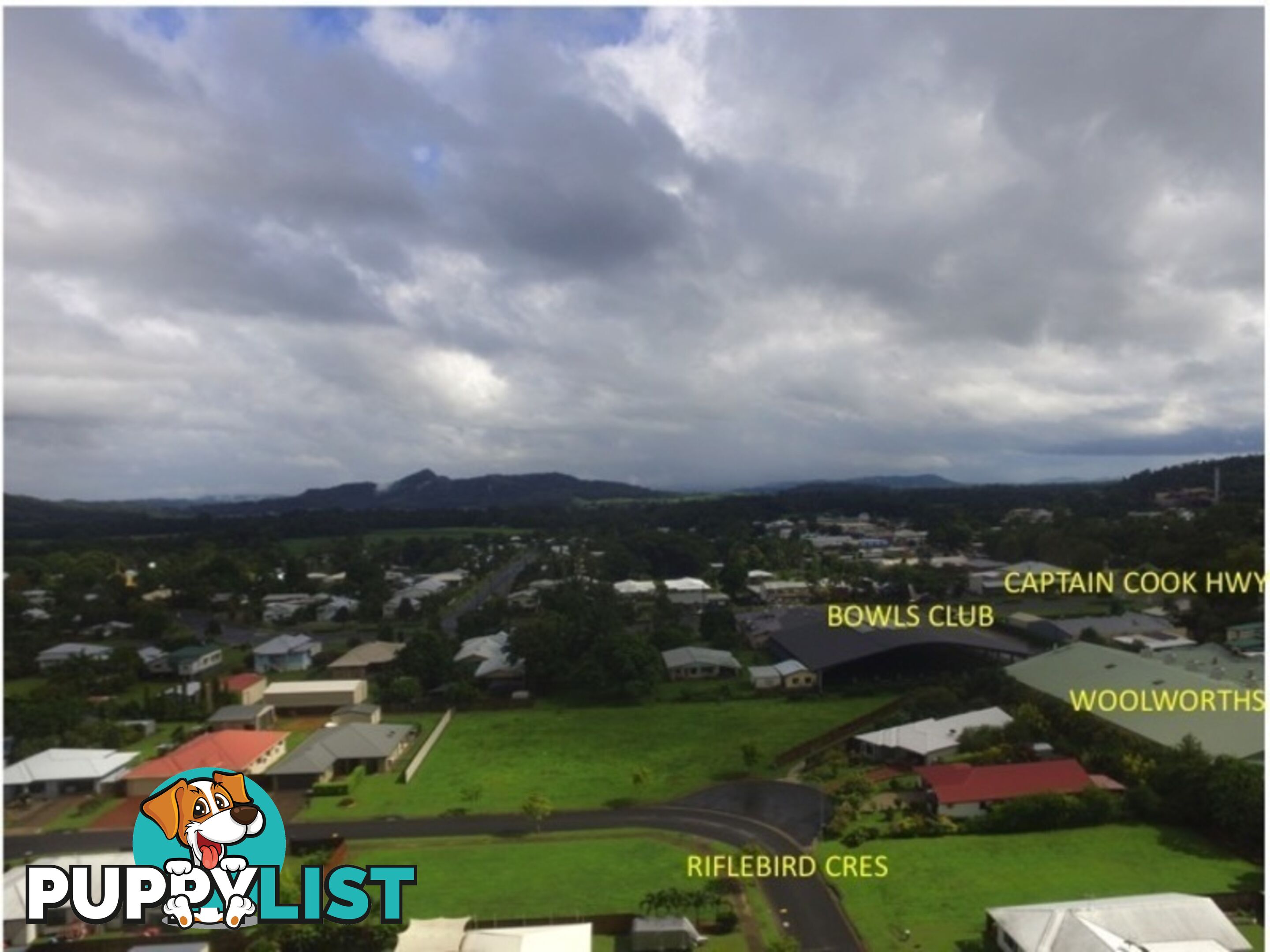 8 Riflebird Cres MOSSMAN QLD 4873