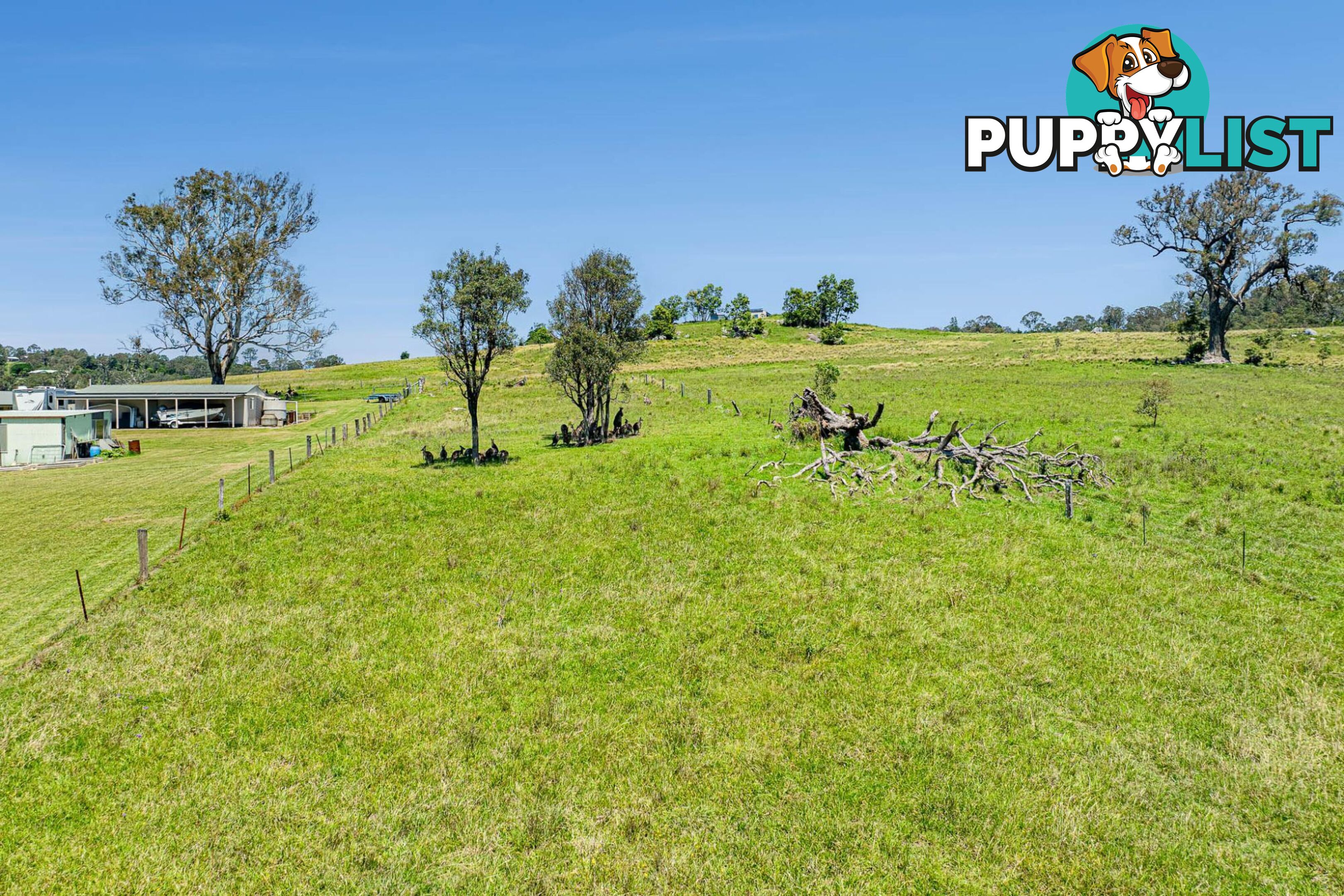 Lot 1 & 2 Turnbulls Lane MORUYA NSW 2537