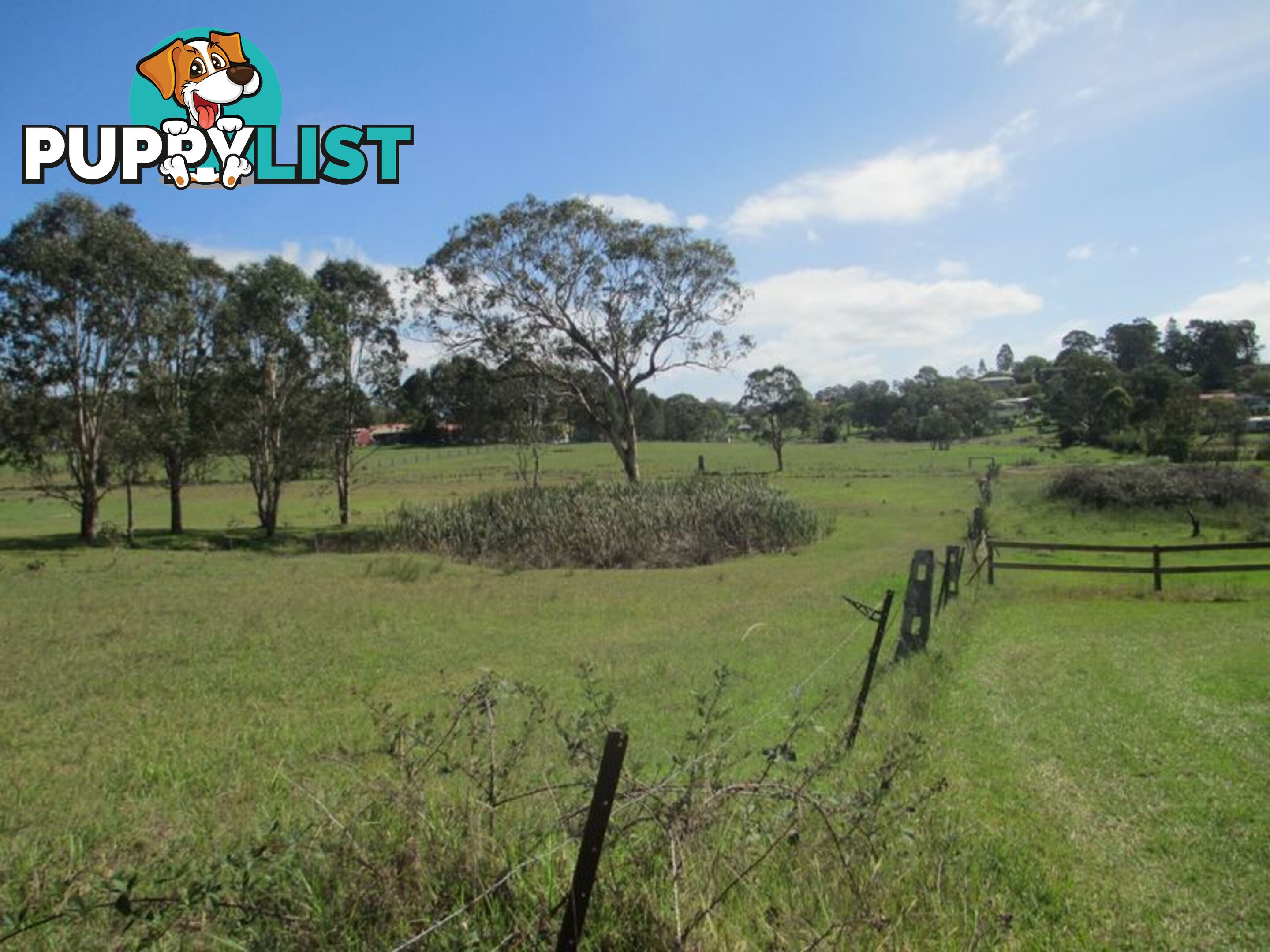 Lot 3 & 4 Section 38, 84 Hawdon Street MORUYA NSW 2537