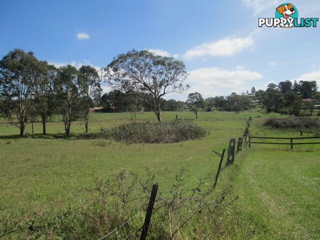 Lot 3 & 4 Section 38, 84 Hawdon Street MORUYA NSW 2537