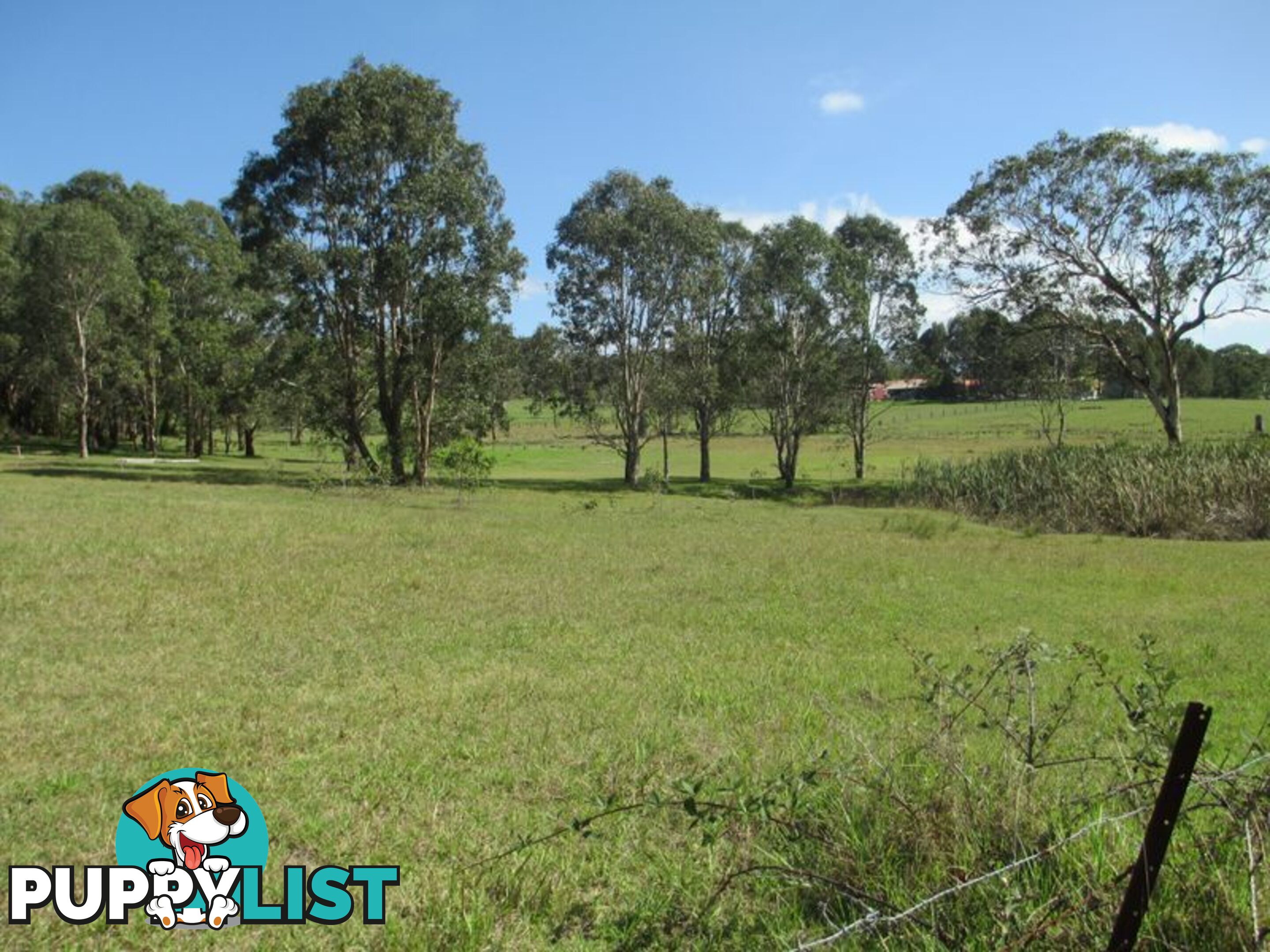 Lot 3 & 4 Section 38, 84 Hawdon Street MORUYA NSW 2537