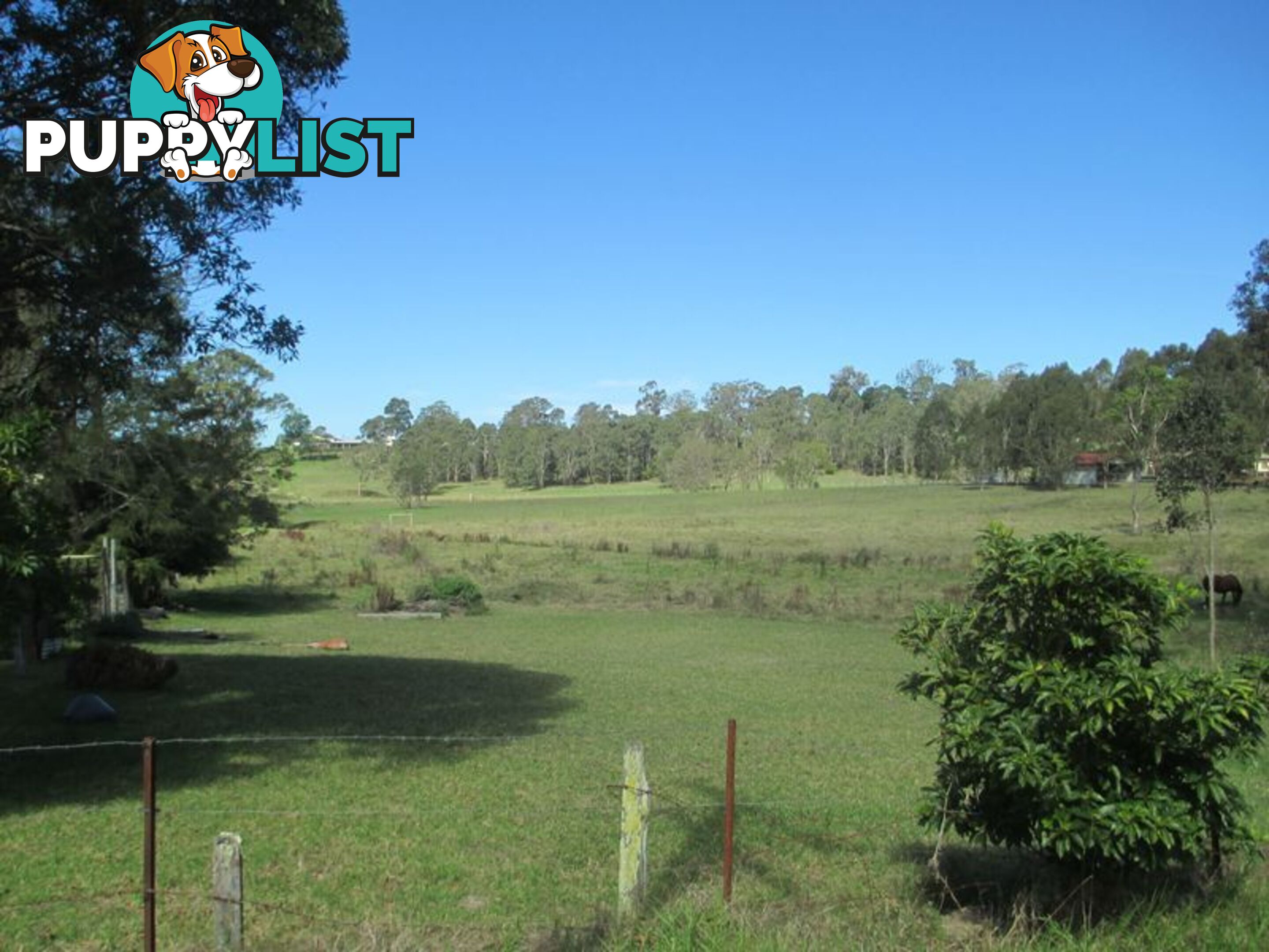 Lot 3 & 4 Section 38, 84 Hawdon Street MORUYA NSW 2537