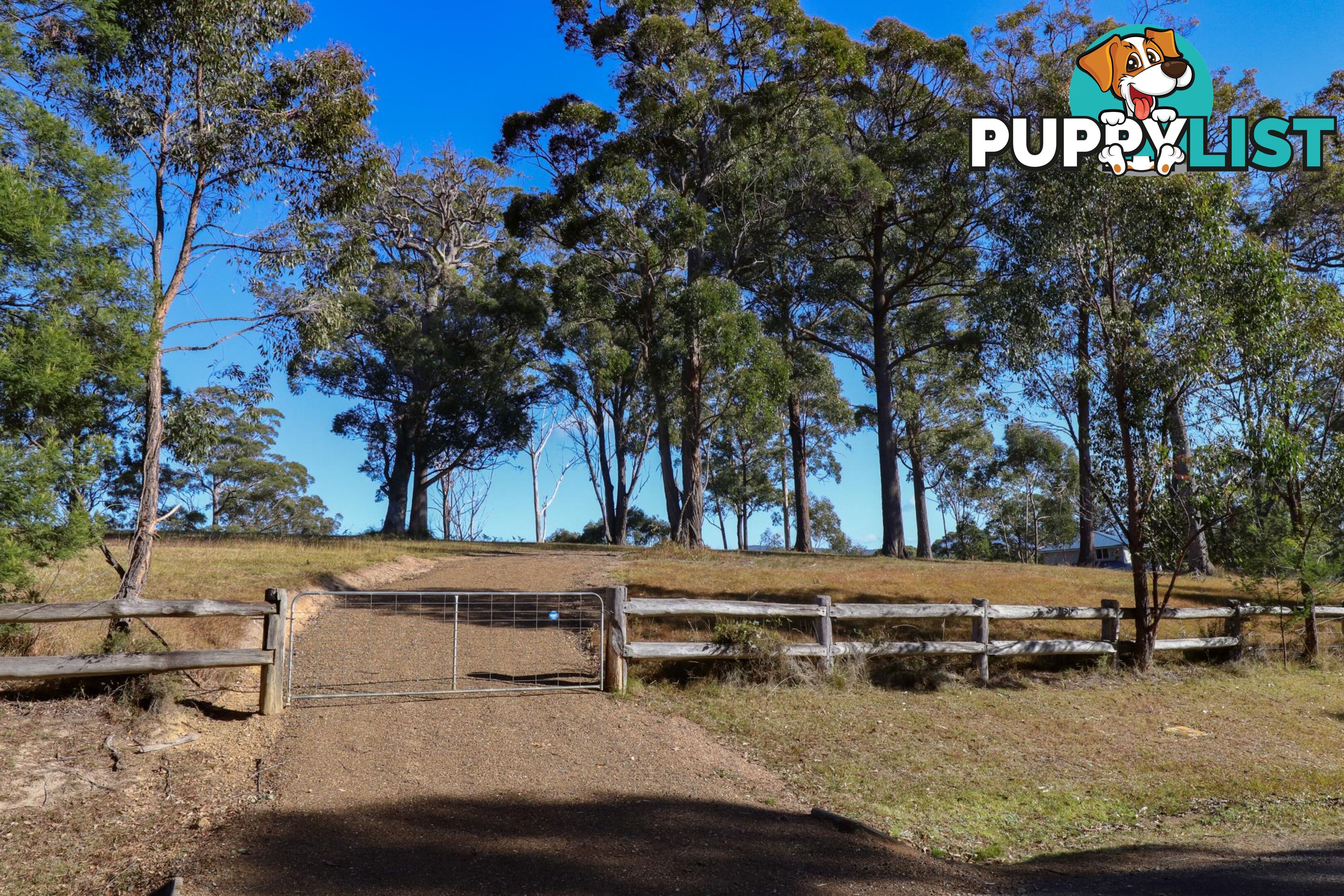 Lot 119 Lyrebird Place BODALLA NSW 2545