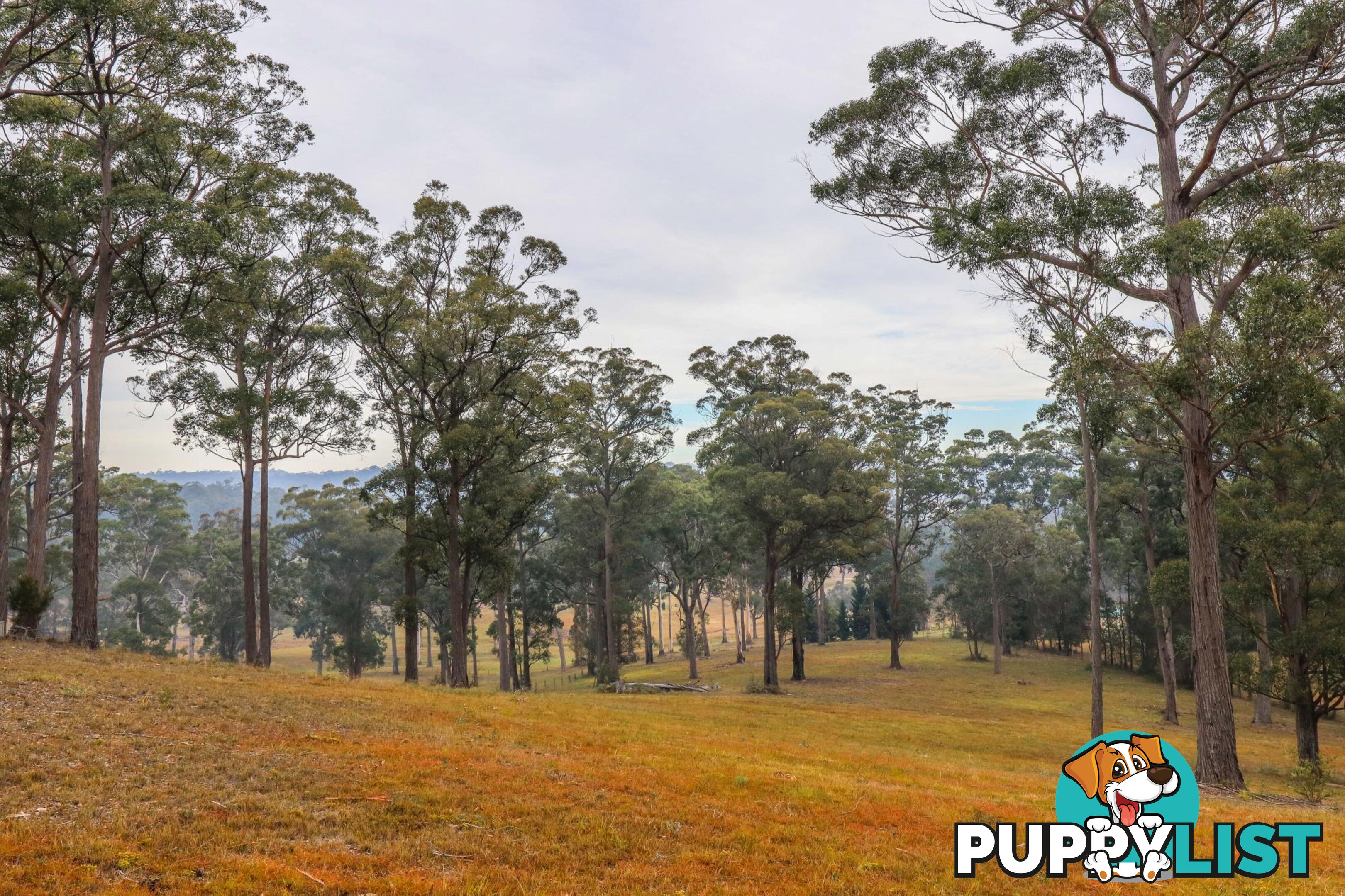 Lot 119 Lyrebird Place BODALLA NSW 2545