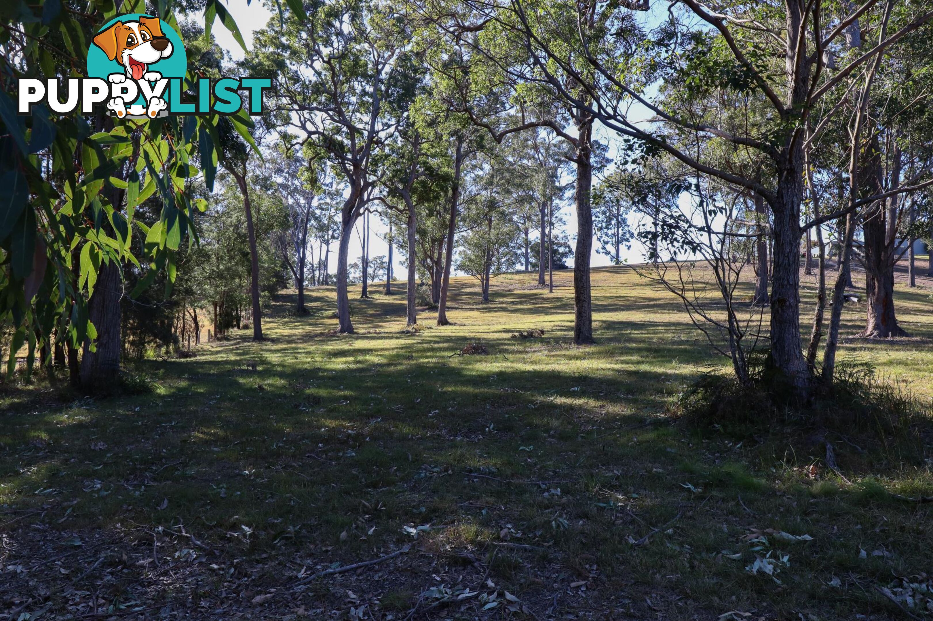 Lot 119 Lyrebird Place BODALLA NSW 2545