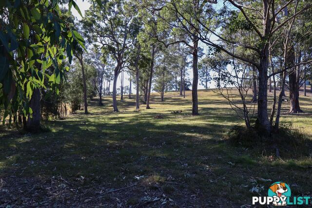 Lot 119 Lyrebird Place BODALLA NSW 2545