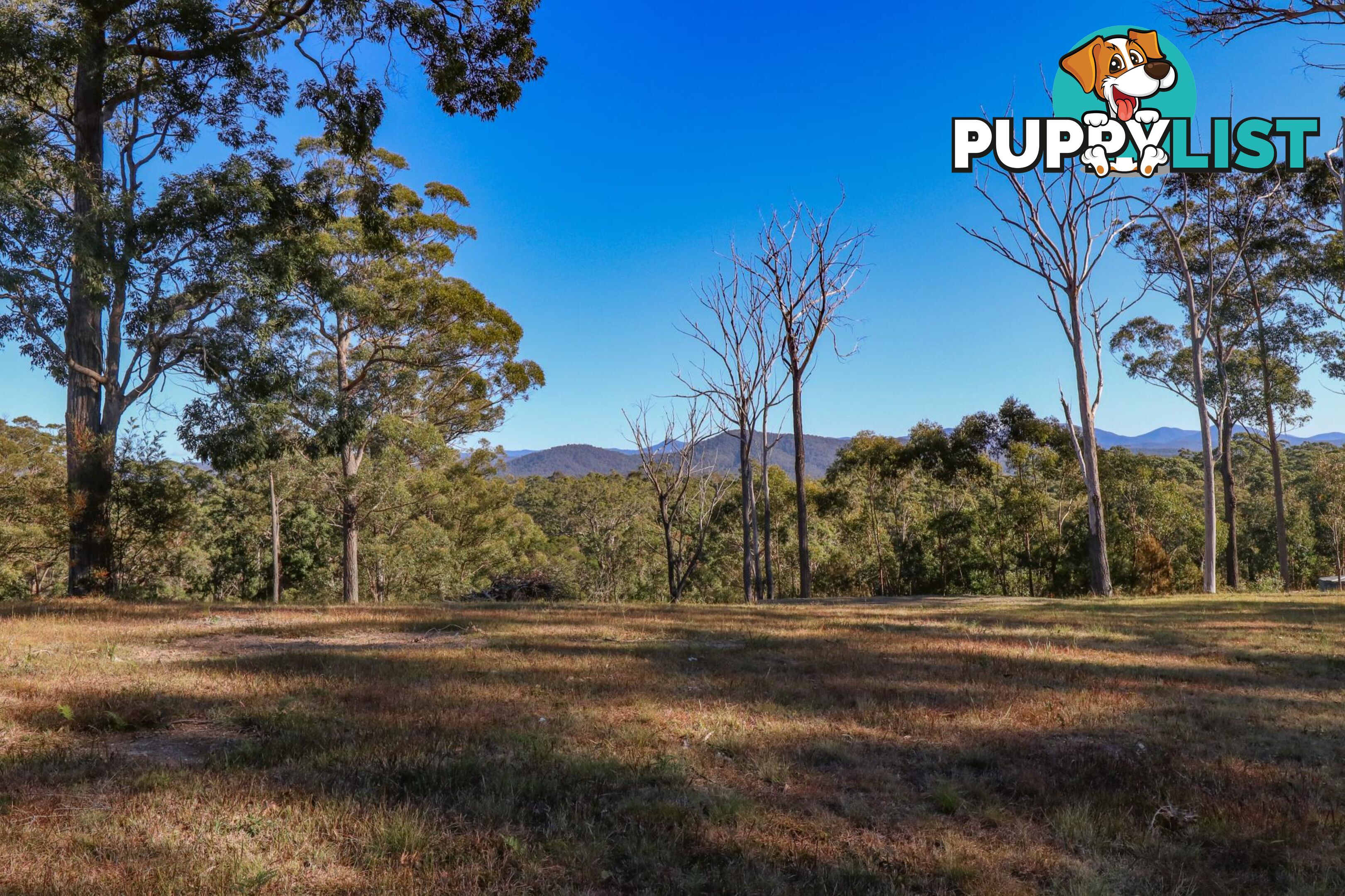 Lot 119 Lyrebird Place BODALLA NSW 2545