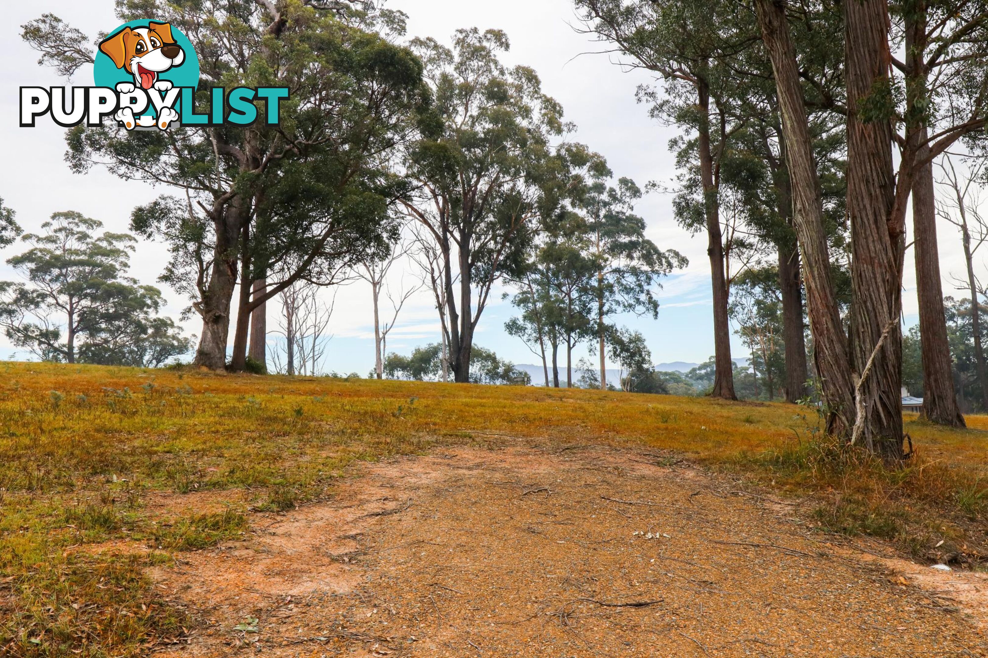 Lot 119 Lyrebird Place BODALLA NSW 2545