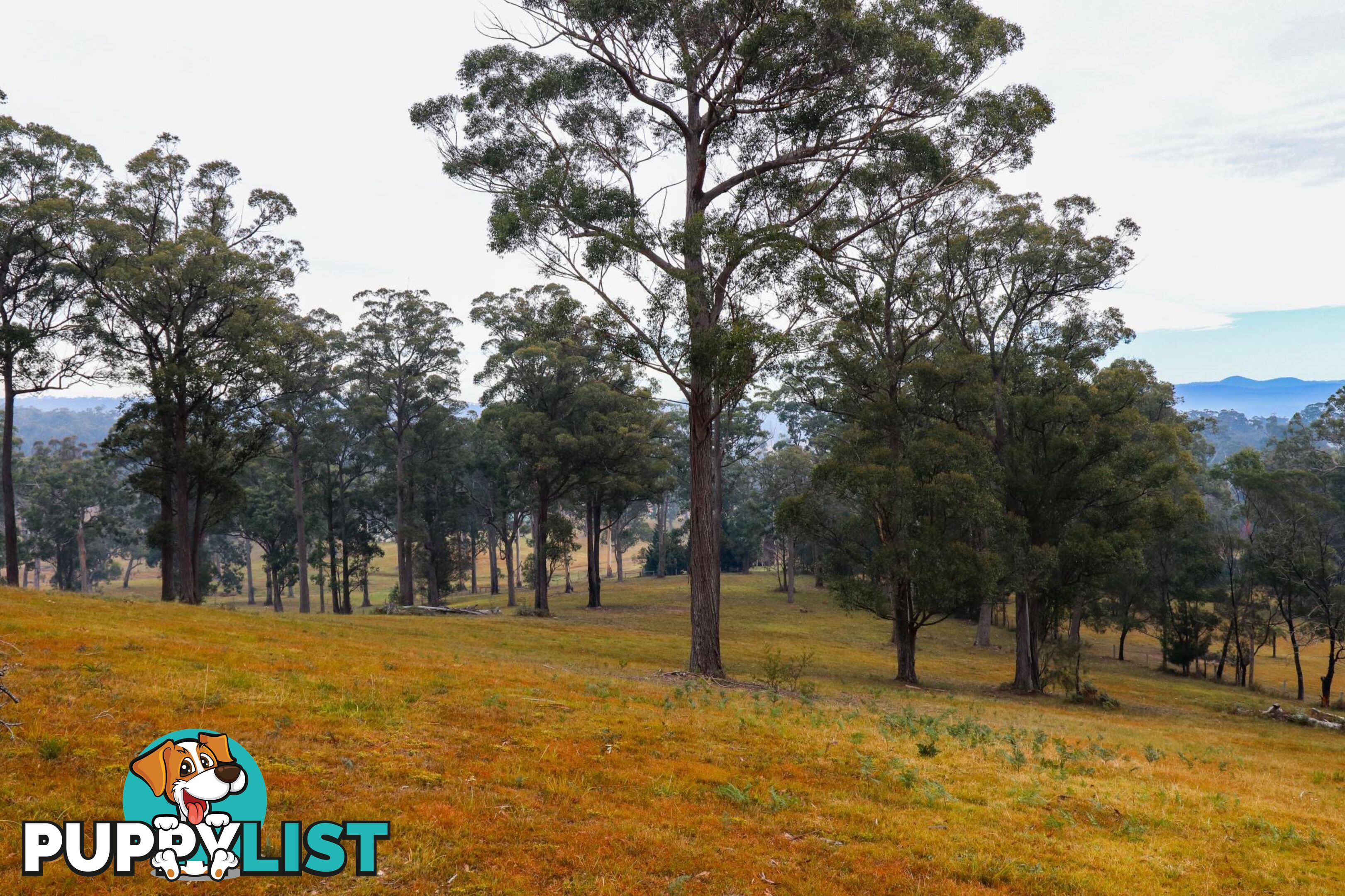 Lot 119 Lyrebird Place BODALLA NSW 2545