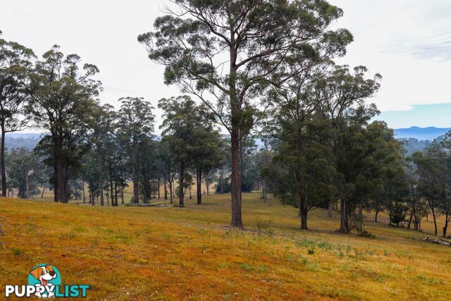 Lot 119 Lyrebird Place BODALLA NSW 2545