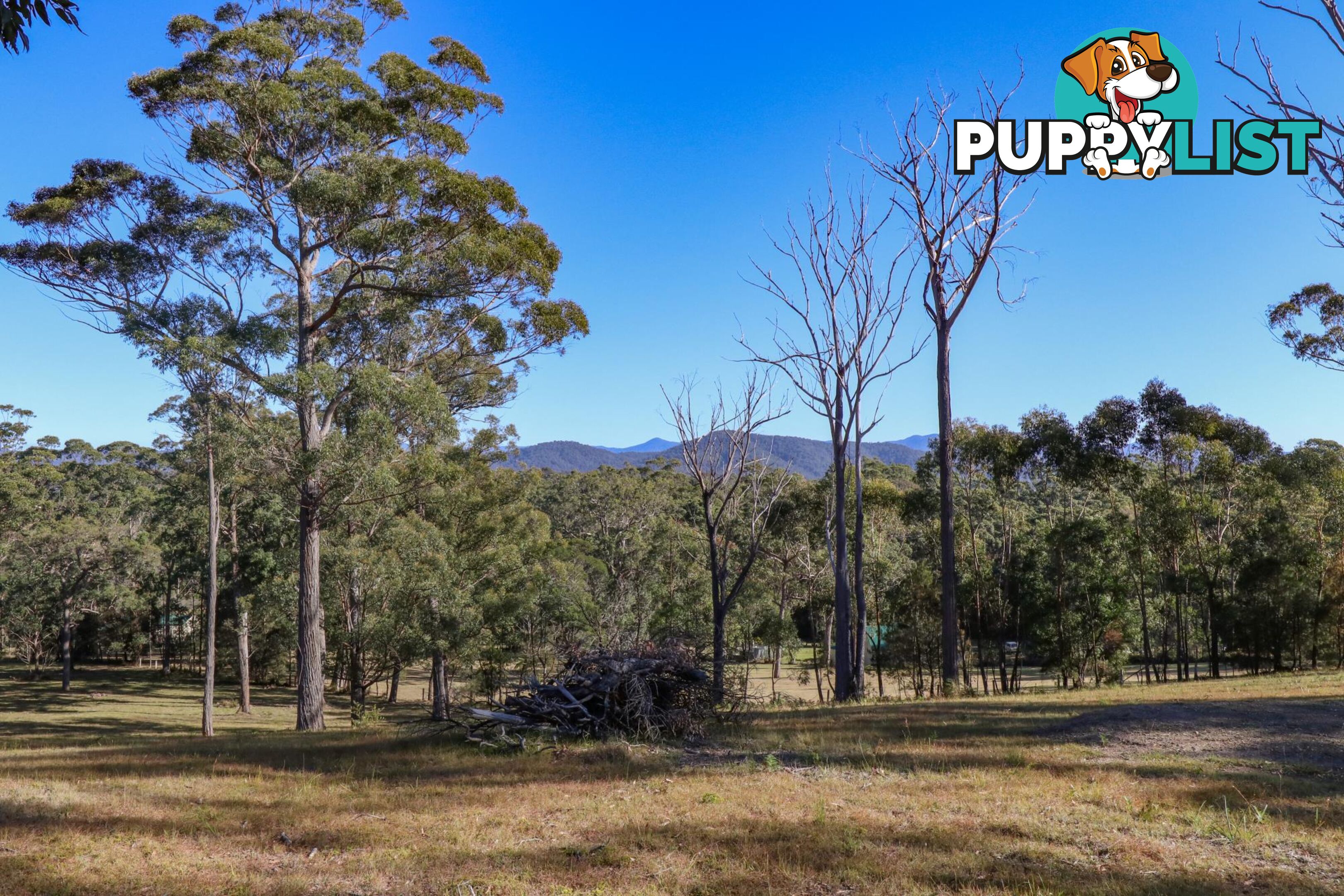 Lot 119 Lyrebird Place BODALLA NSW 2545