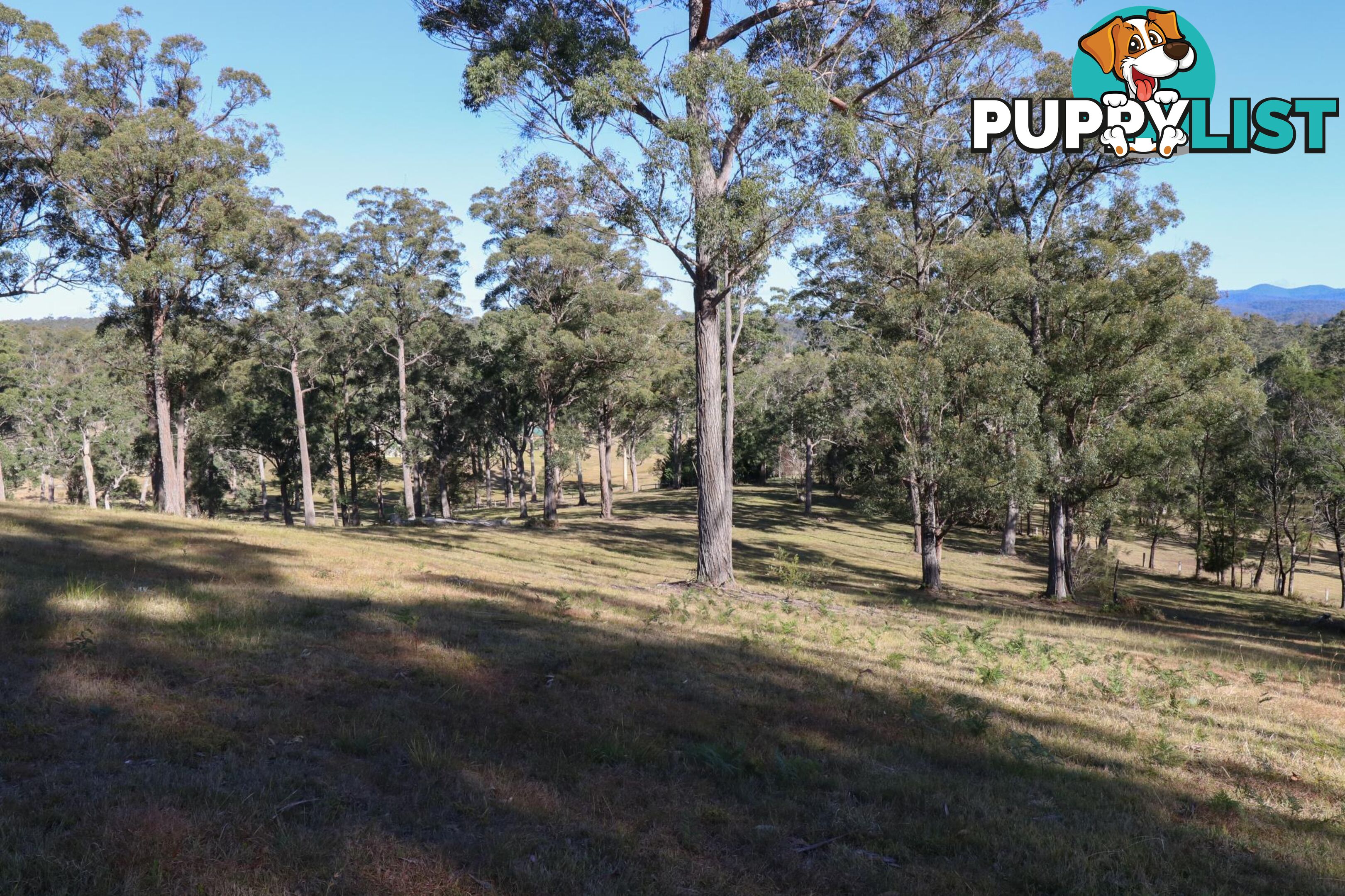 Lot 119 Lyrebird Place BODALLA NSW 2545