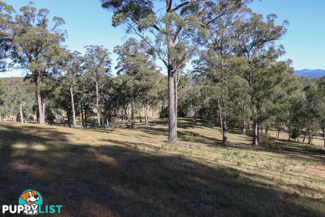 Lot 119 Lyrebird Place BODALLA NSW 2545