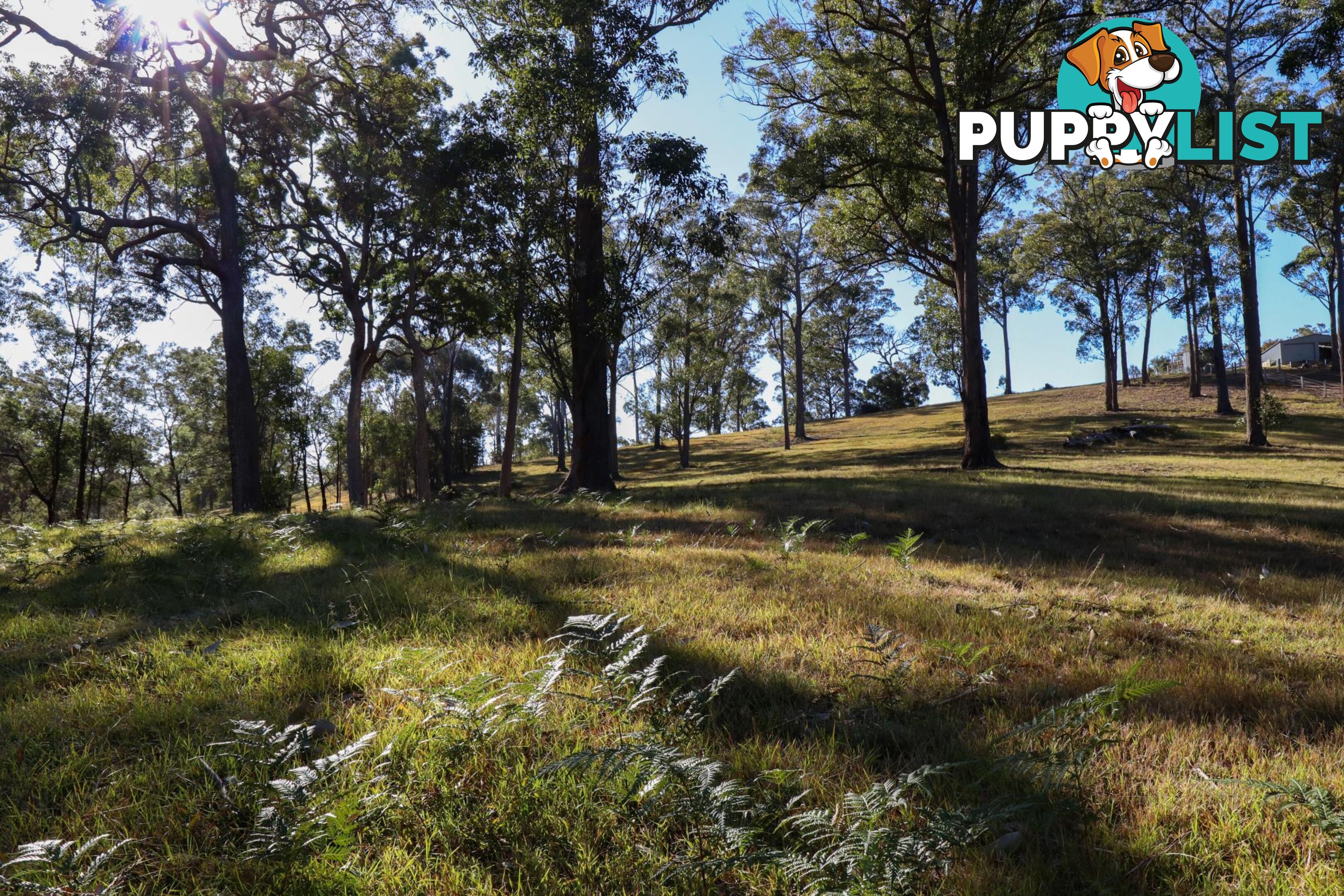 Lot 119 Lyrebird Place BODALLA NSW 2545