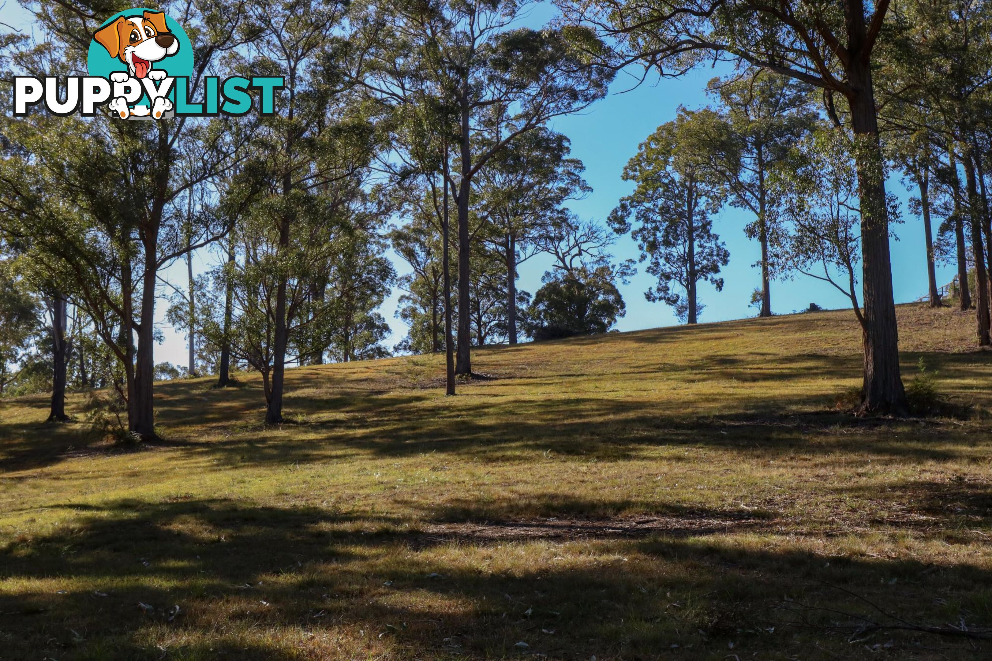 Lot 119 Lyrebird Place BODALLA NSW 2545