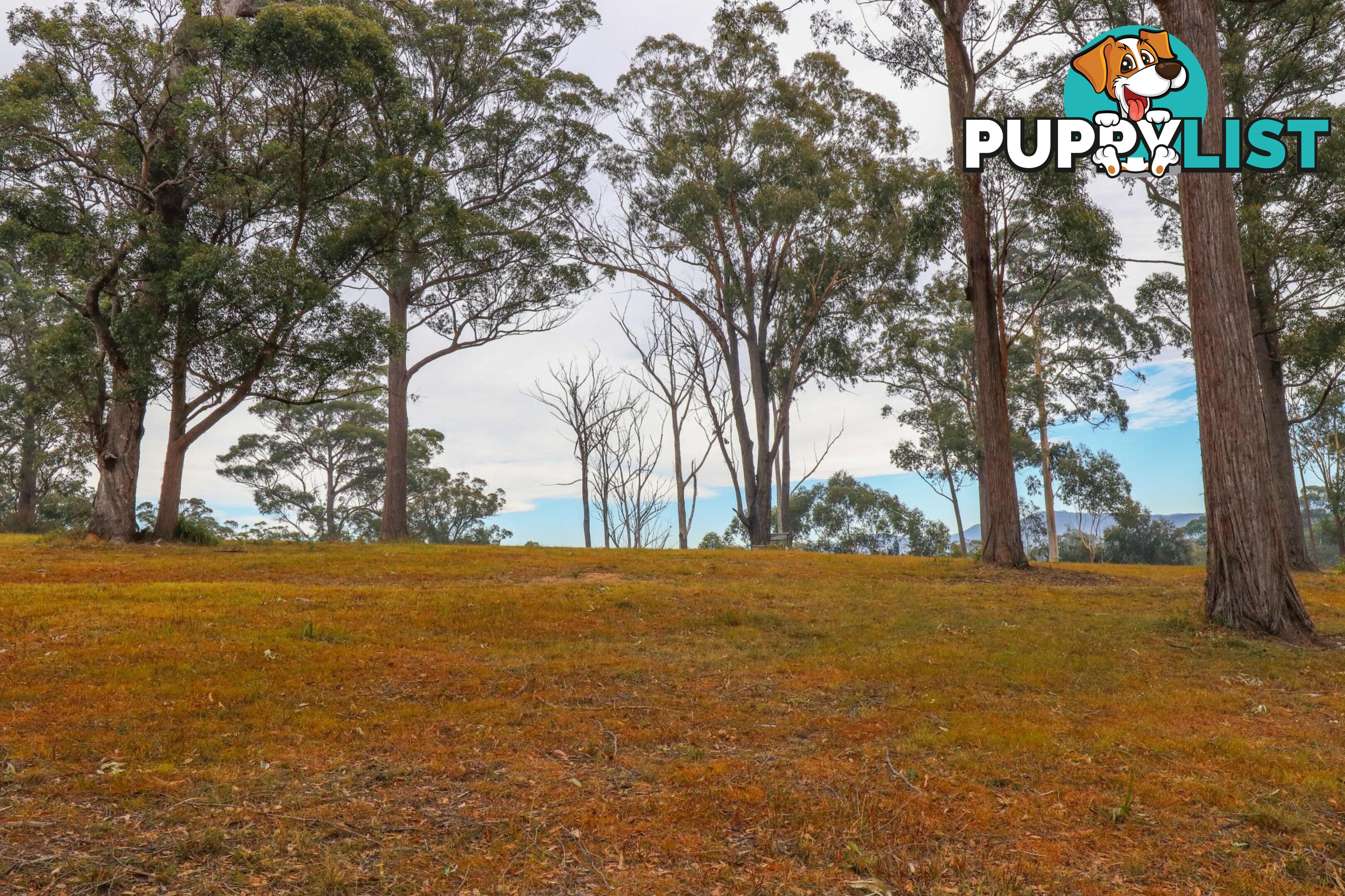 Lot 119 Lyrebird Place BODALLA NSW 2545