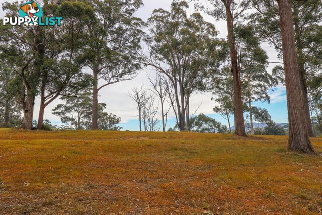 Lot 119 Lyrebird Place BODALLA NSW 2545