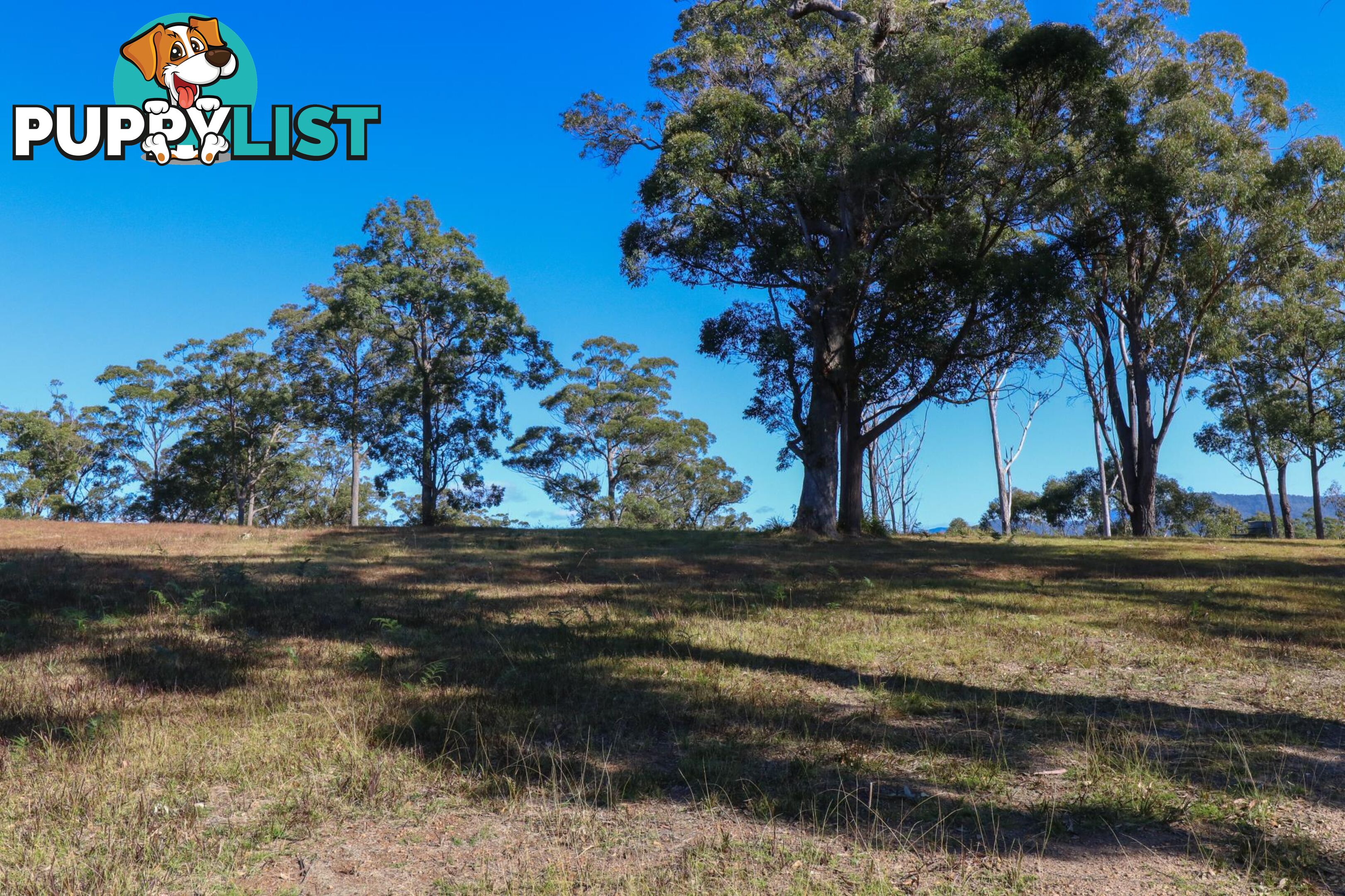 Lot 119 Lyrebird Place BODALLA NSW 2545