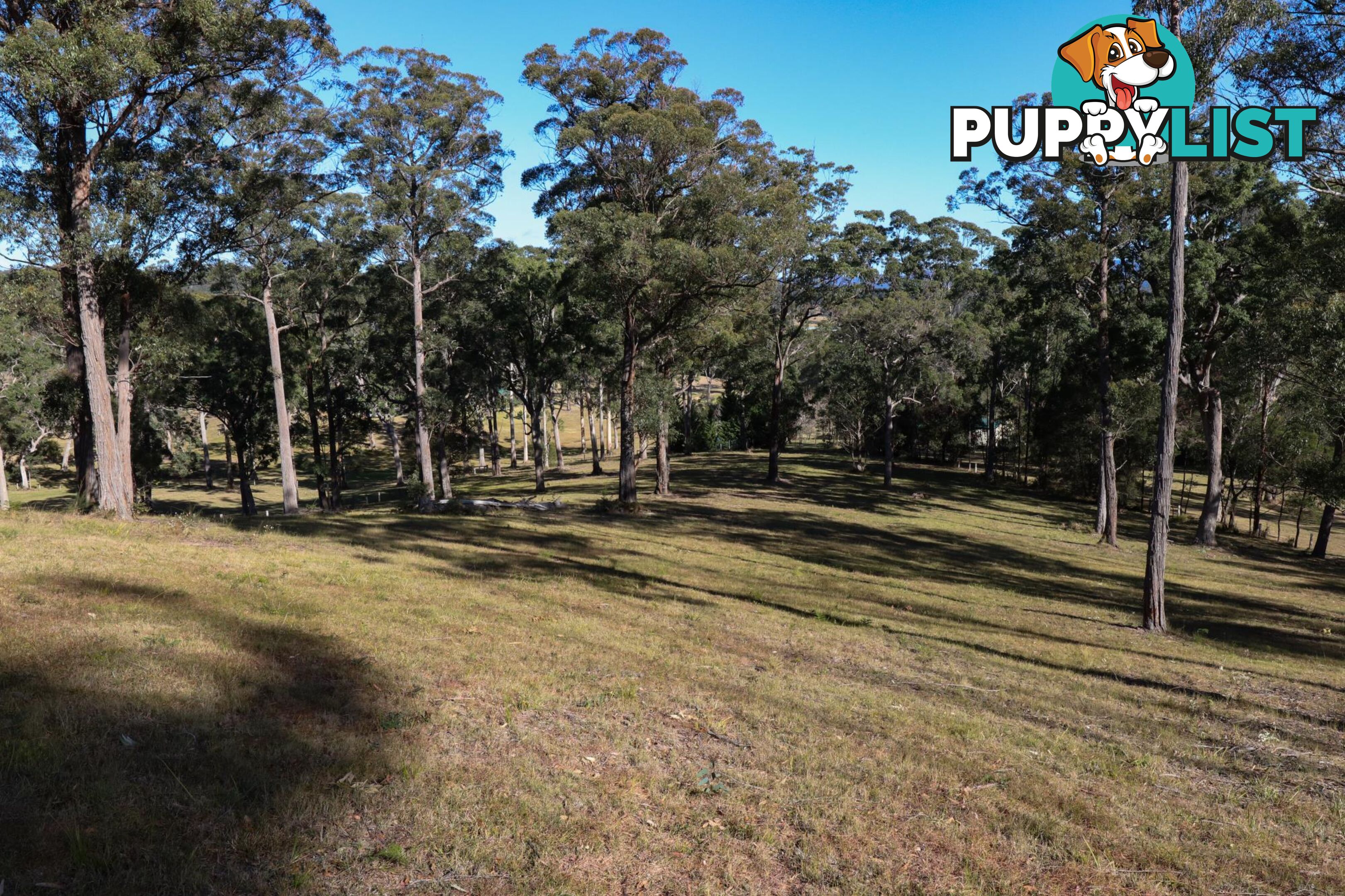 Lot 119 Lyrebird Place BODALLA NSW 2545