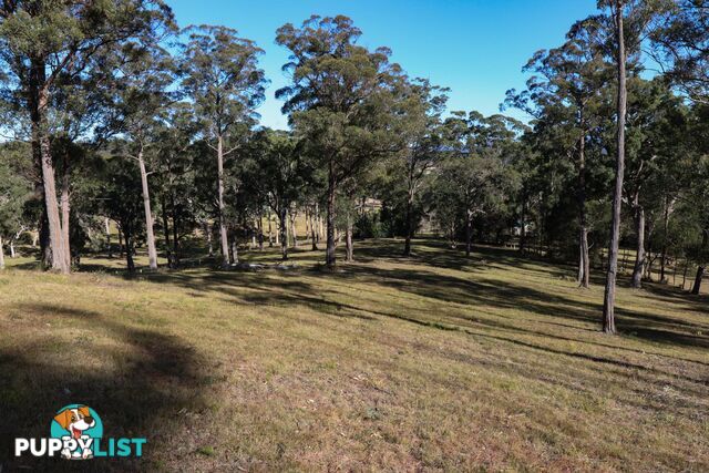 Lot 119 Lyrebird Place BODALLA NSW 2545