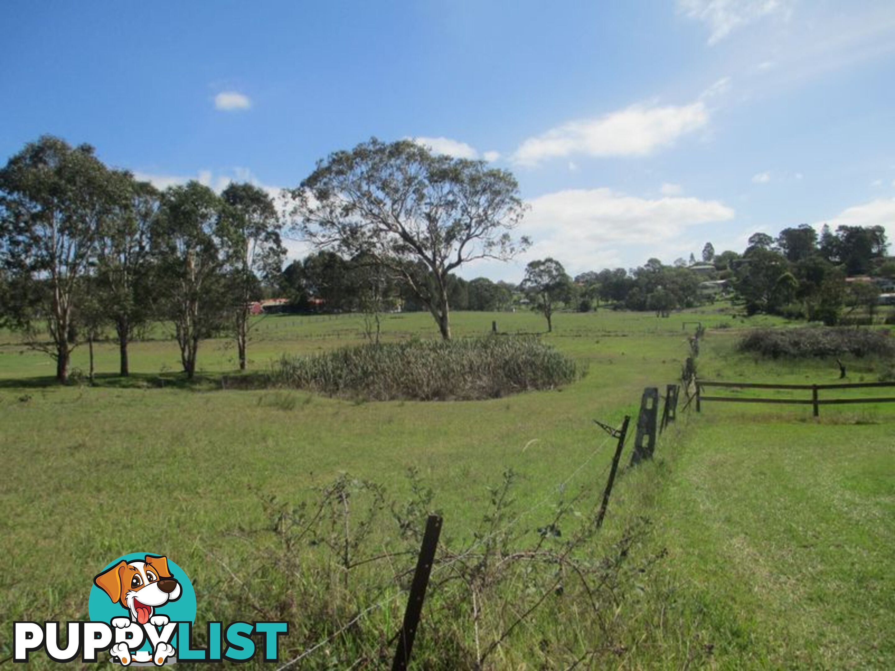 Lots 1-3-4 Section 39 19 Lagoon Street MORUYA NSW 2537