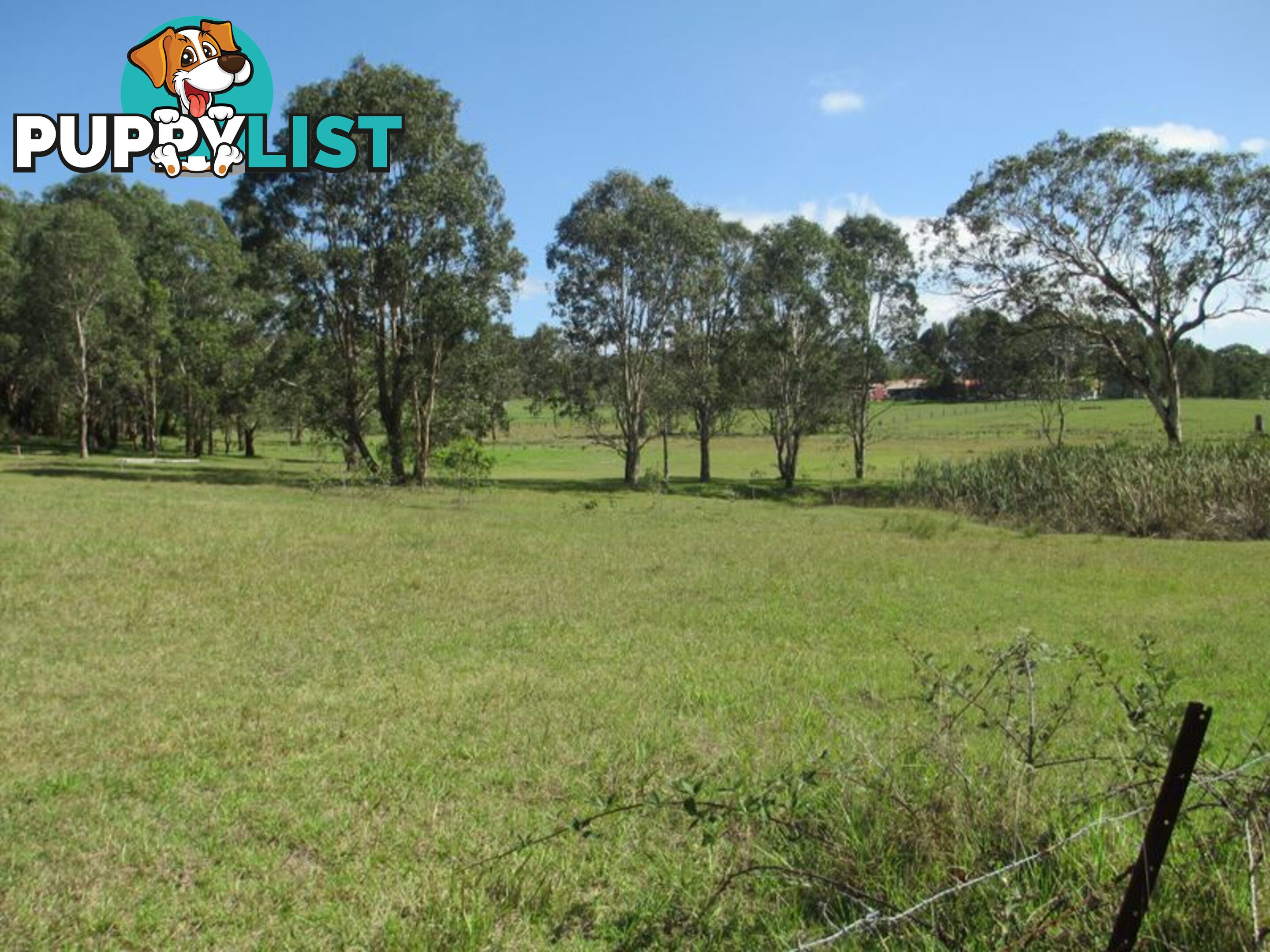 Lots 1-3-4 Section 39 19 Lagoon Street MORUYA NSW 2537