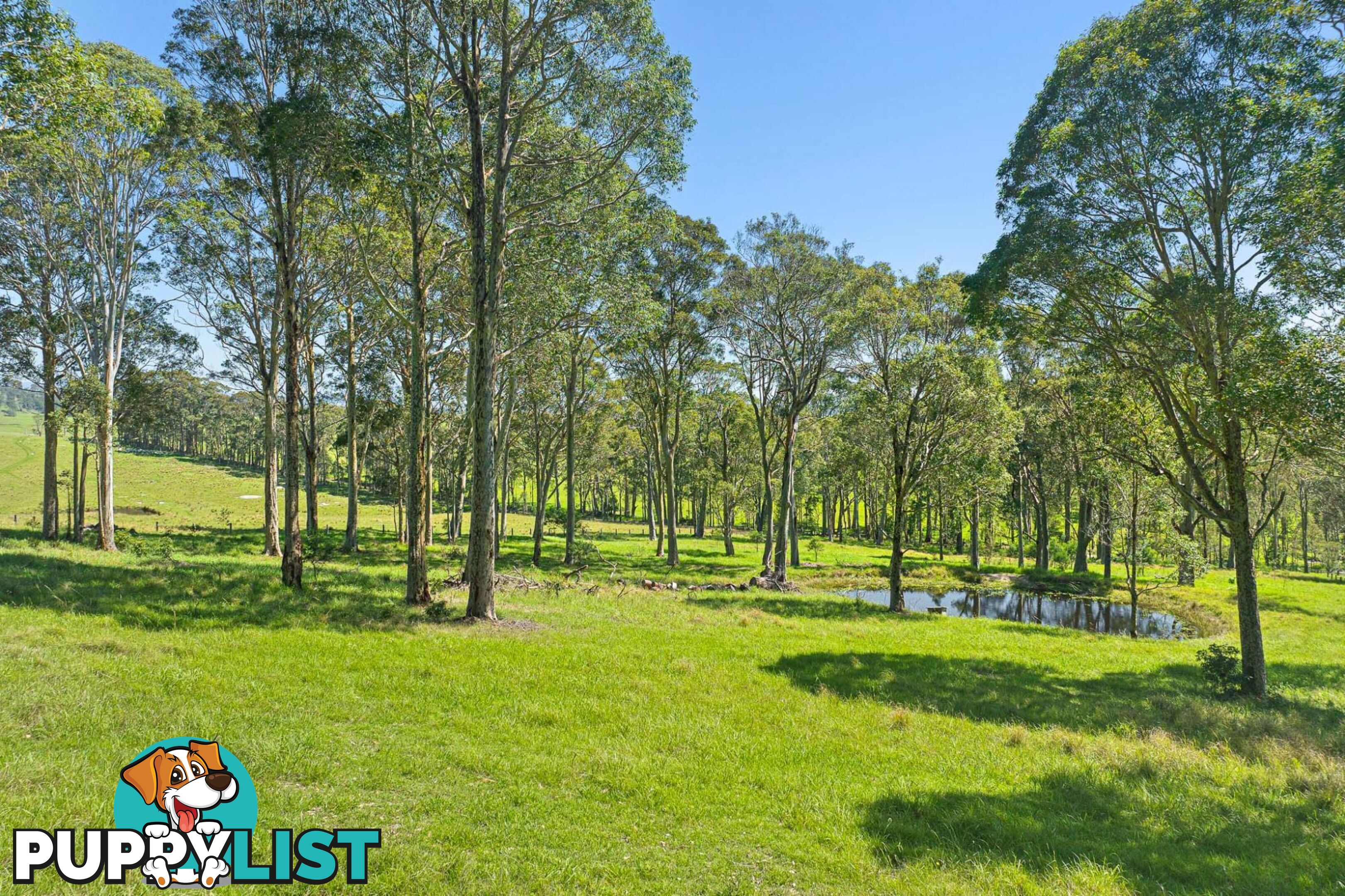 40 Lilydale Place BERGALIA NSW 2537