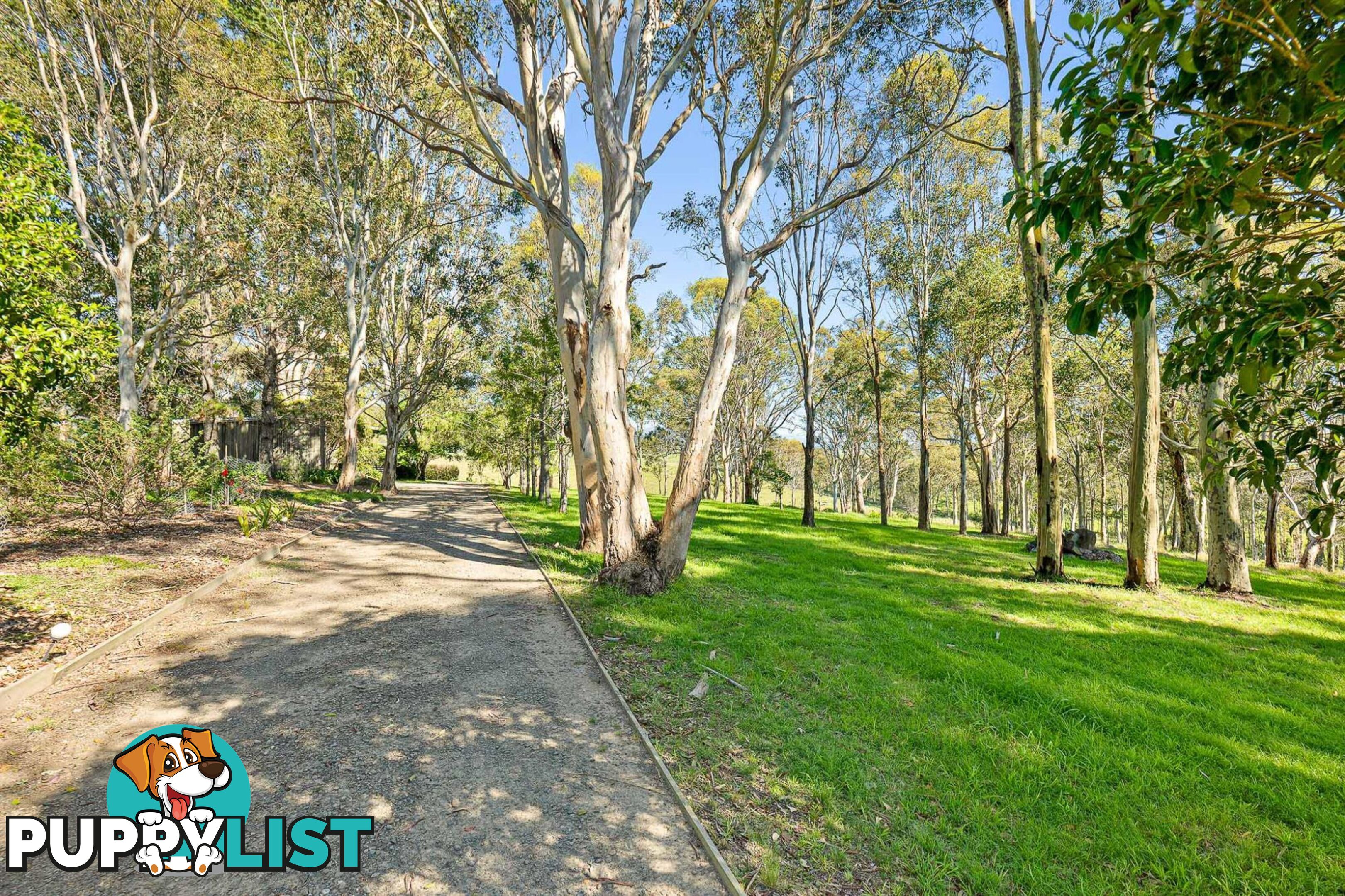 40 Lilydale Place BERGALIA NSW 2537