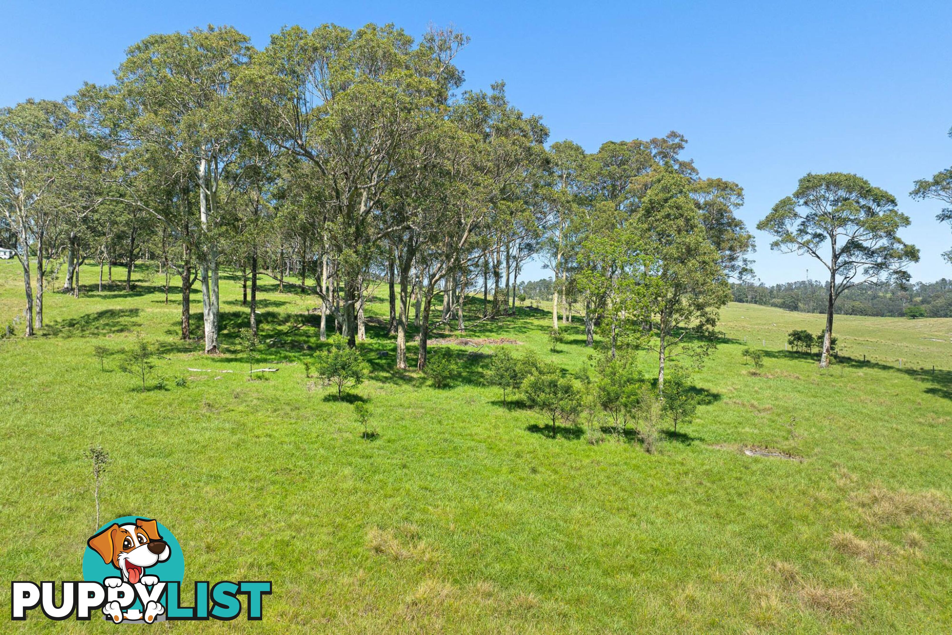 40 Lilydale Place BERGALIA NSW 2537