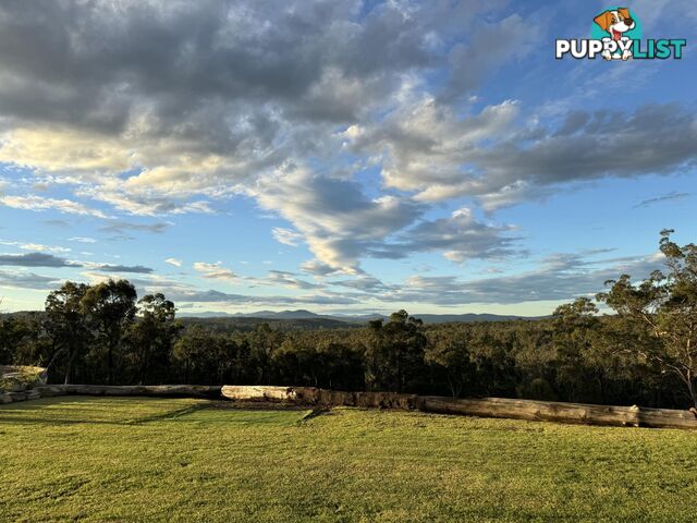 924 Dwyers Creek Road MORUYA NSW 2537