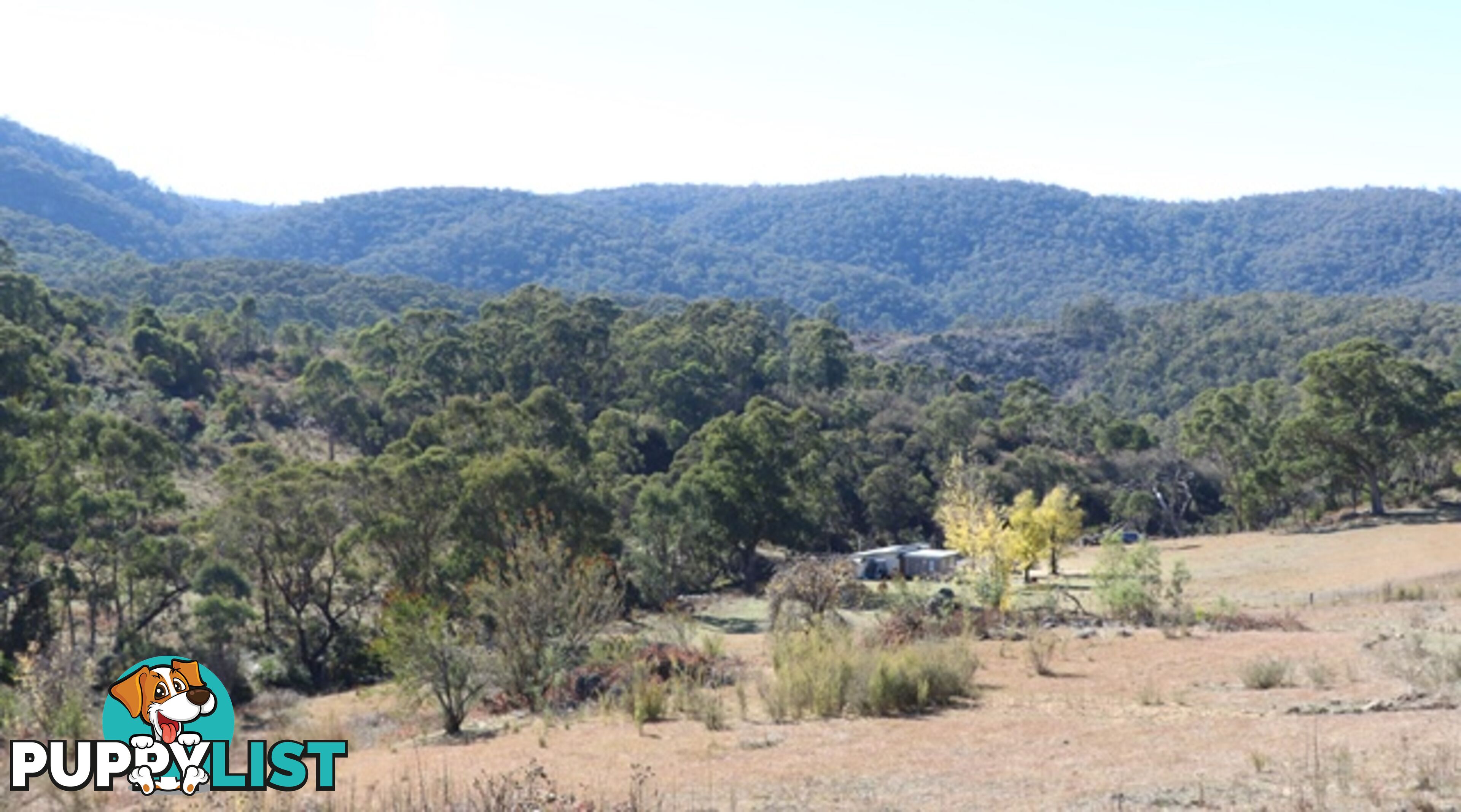 Lot 119 Nottingham Road WEE JASPER NSW 2582