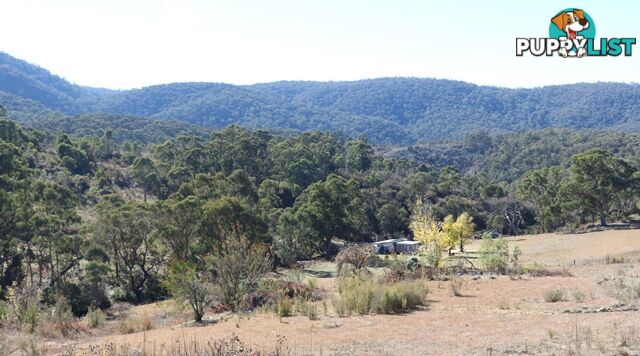 Lot 119 Nottingham Road WEE JASPER NSW 2582