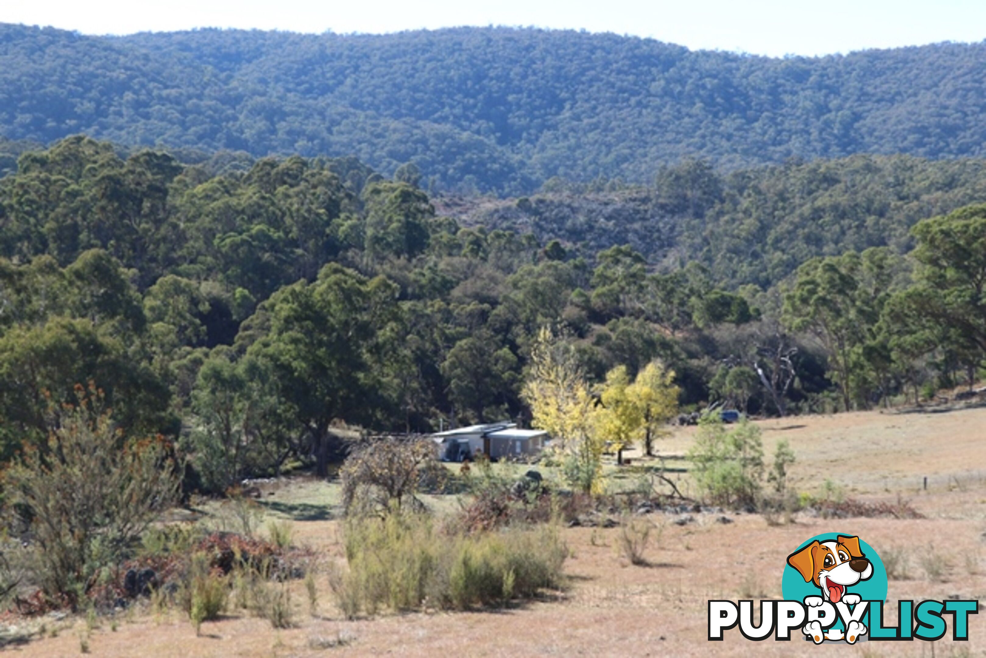 Lot 119 Nottingham Road WEE JASPER NSW 2582