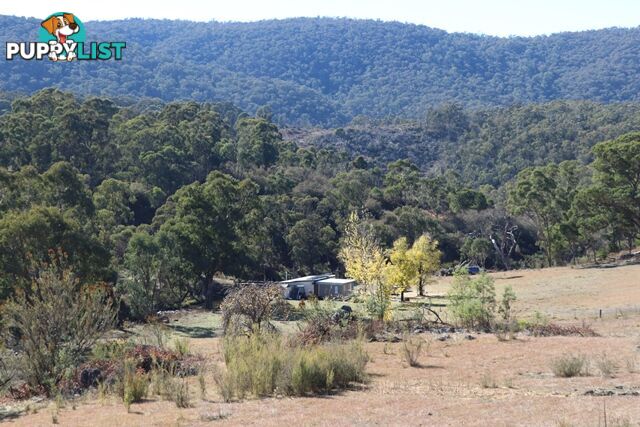 Lot 119 Nottingham Road WEE JASPER NSW 2582