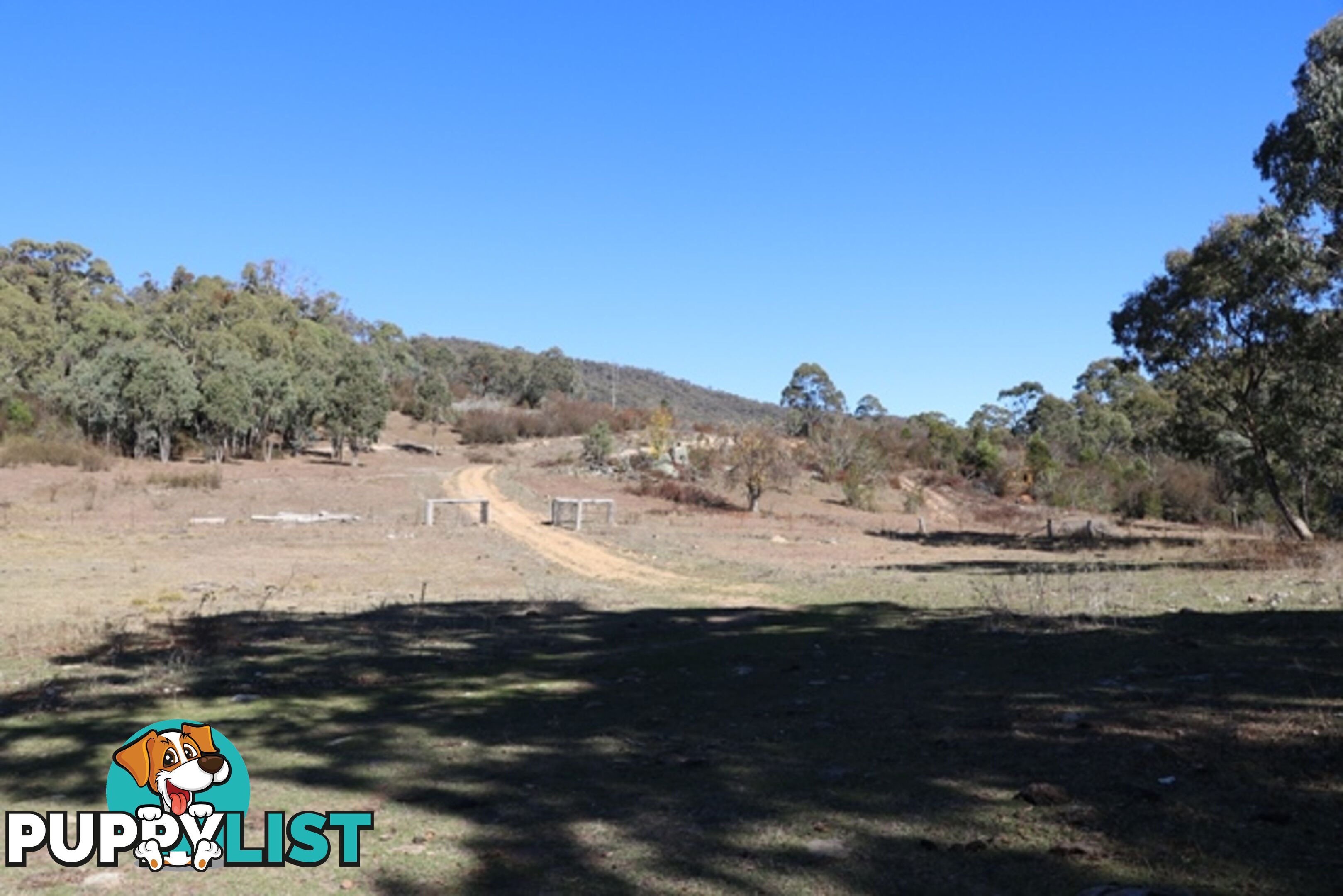 Lot 119 Nottingham Road WEE JASPER NSW 2582