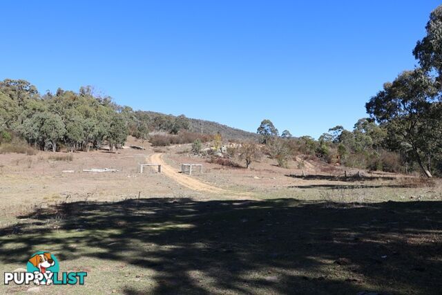 Lot 119 Nottingham Road WEE JASPER NSW 2582