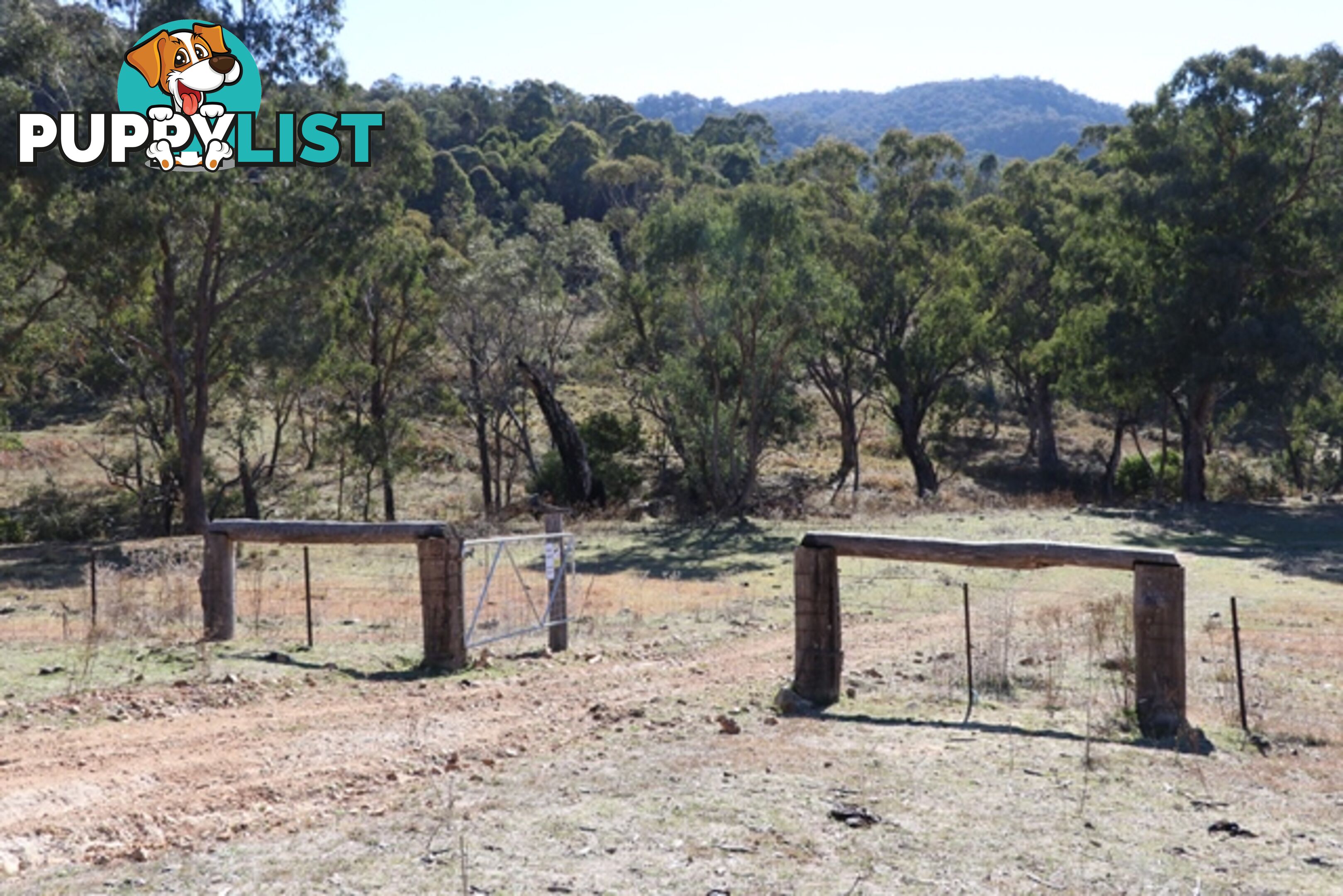 Lot 119 Nottingham Road WEE JASPER NSW 2582