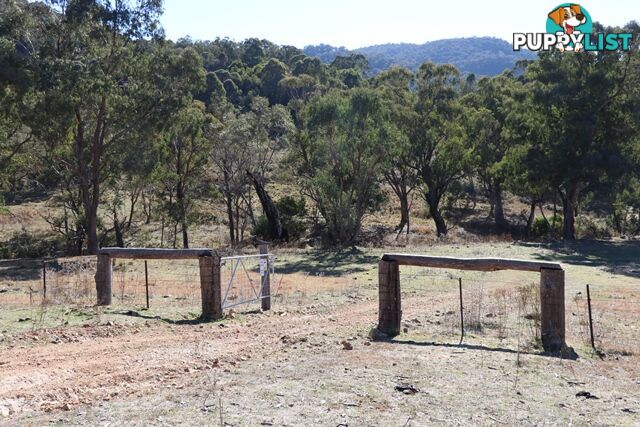 Lot 119 Nottingham Road WEE JASPER NSW 2582