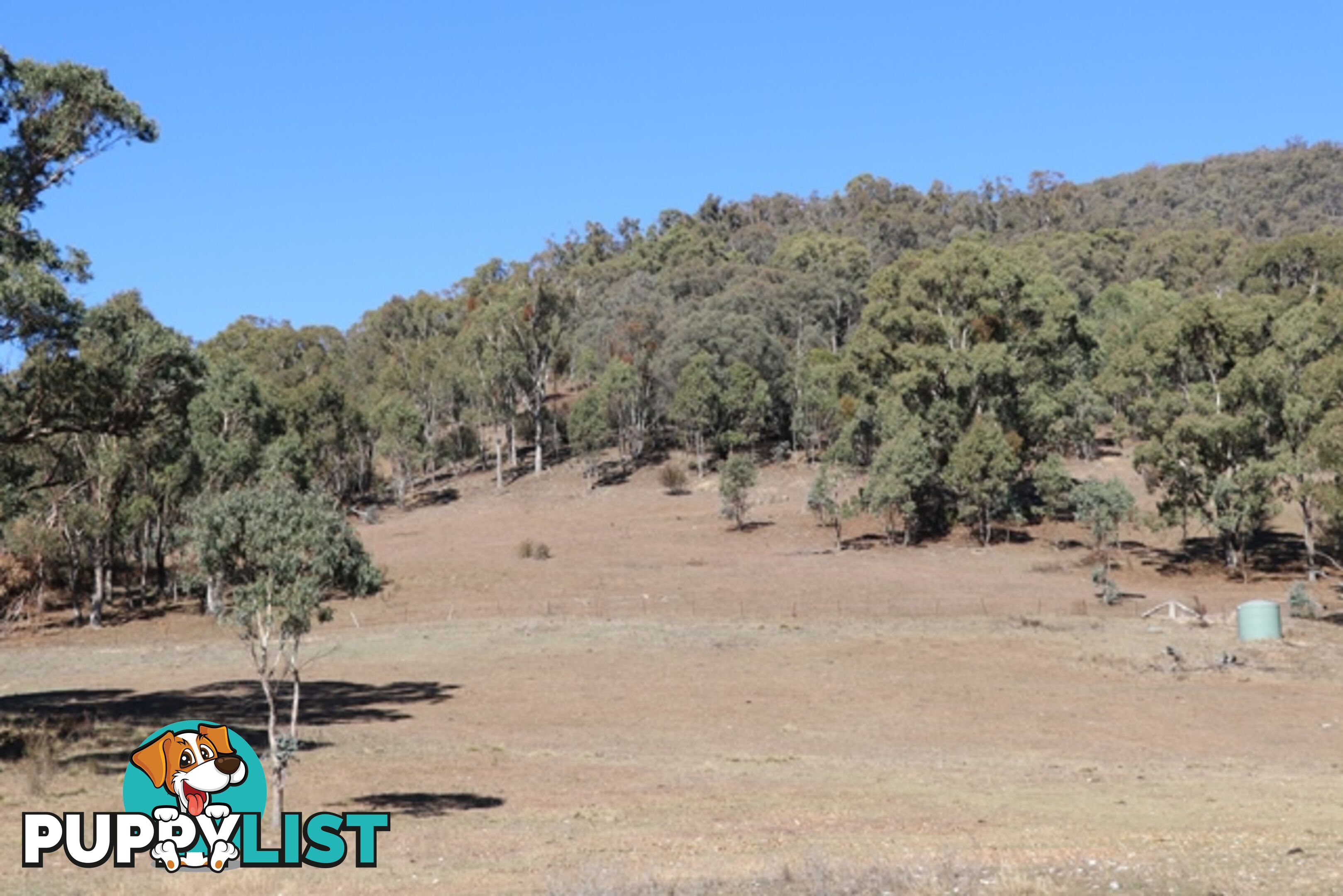 Lot 119 Nottingham Road WEE JASPER NSW 2582