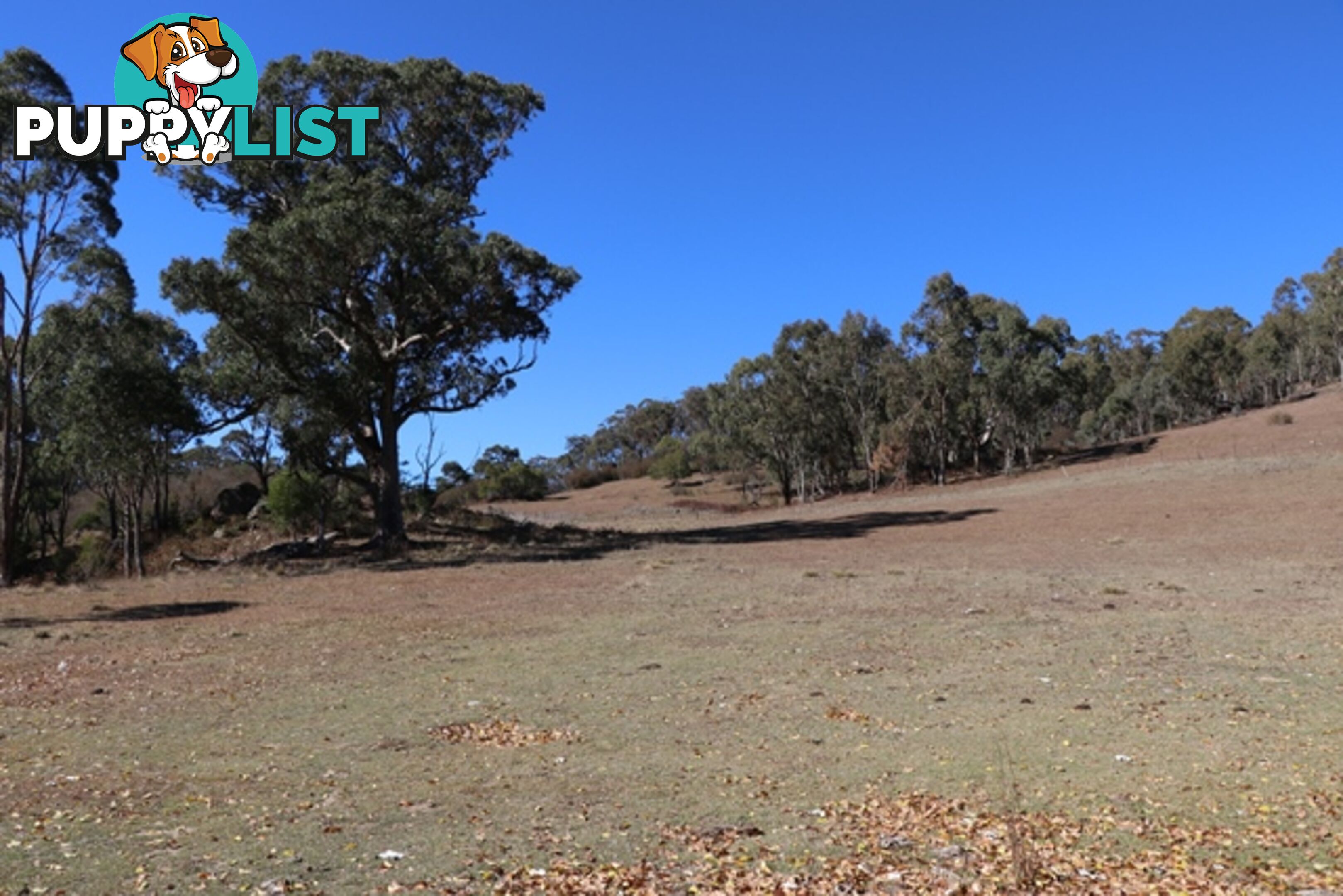 Lot 119 Nottingham Road WEE JASPER NSW 2582