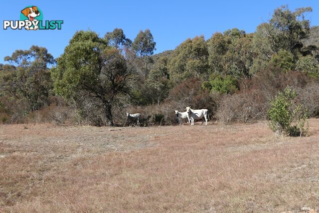 Lot 119 Nottingham Road WEE JASPER NSW 2582