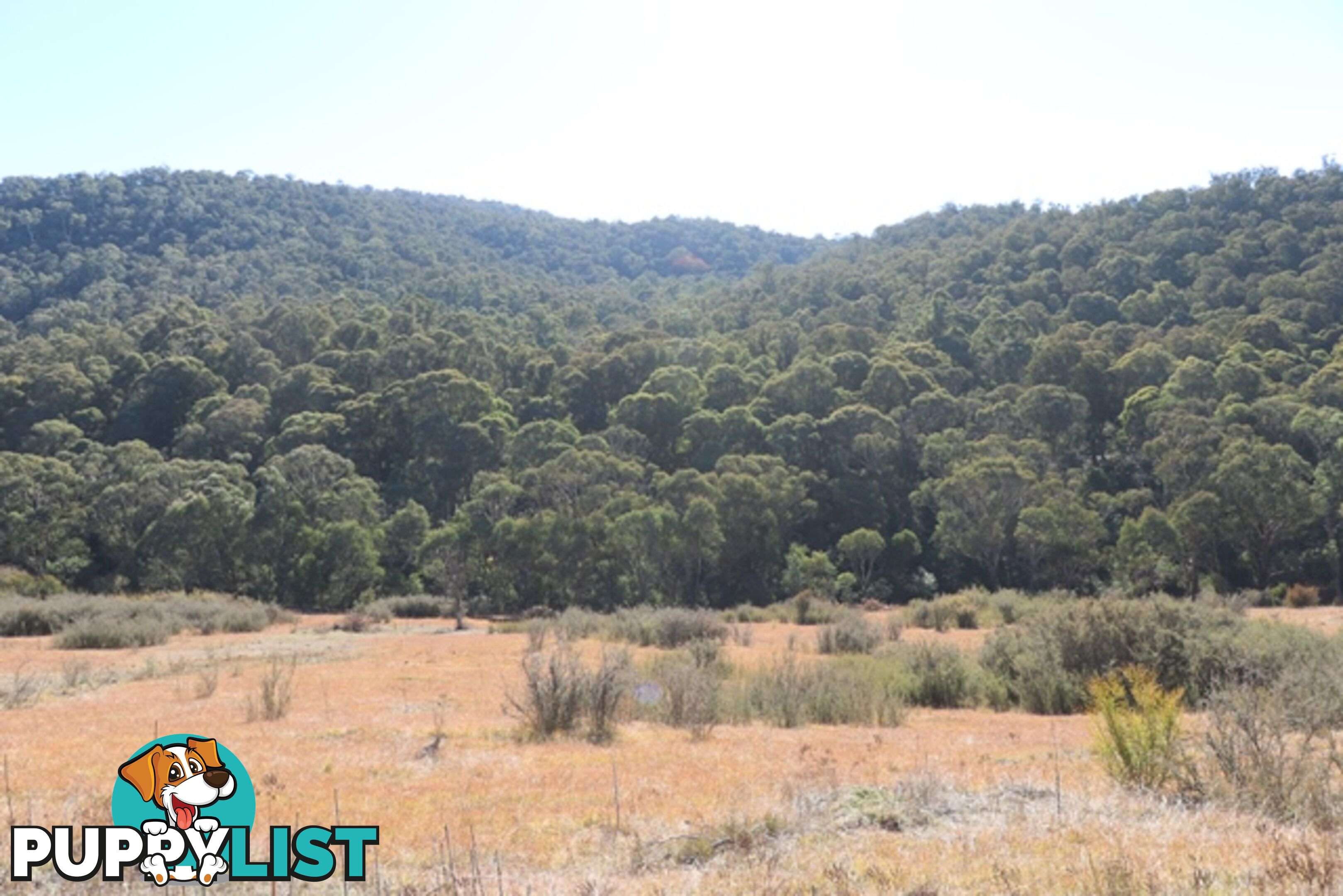 Lot 119 Nottingham Road WEE JASPER NSW 2582