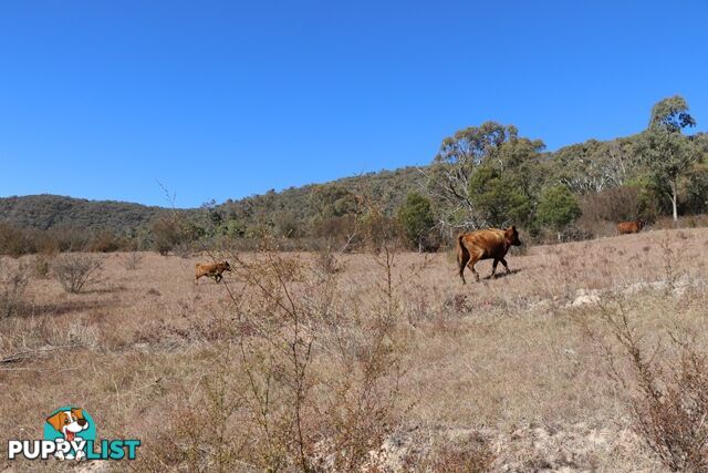 Lot 119 Nottingham Road WEE JASPER NSW 2582