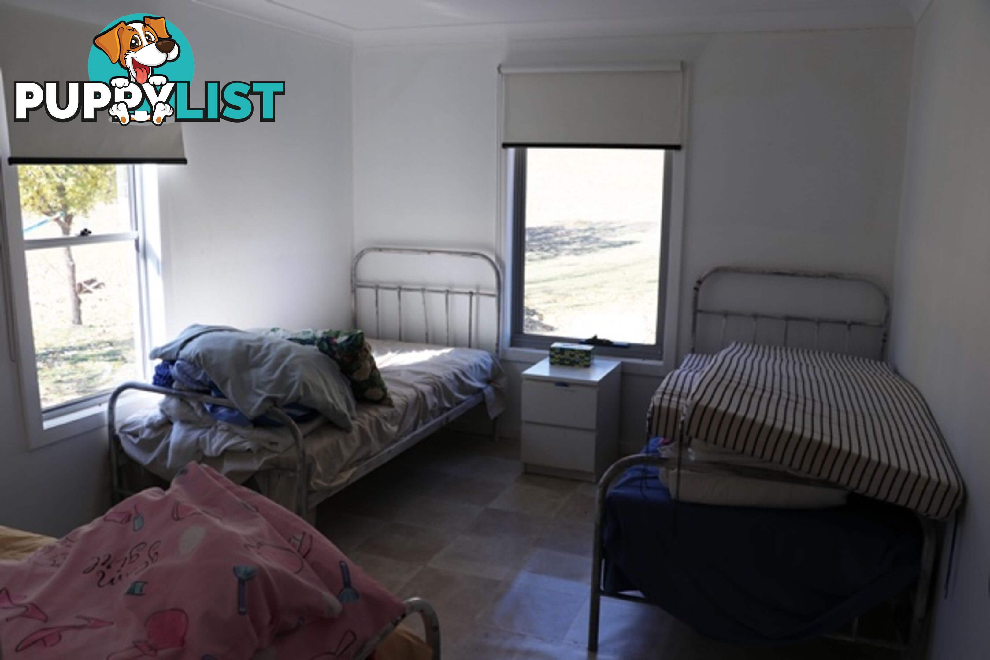 Lot 119 Nottingham Road WEE JASPER NSW 2582