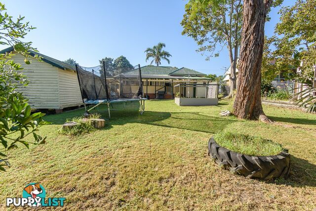 25 Evans Street MORUYA NSW 2537