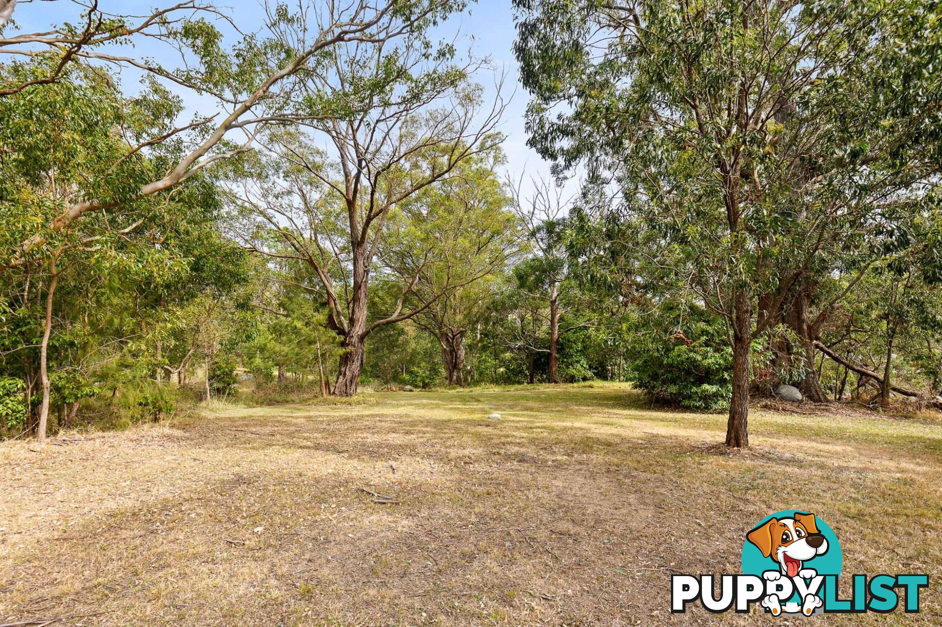 75 Dwyers Ridge Road MORUYA NSW 2537